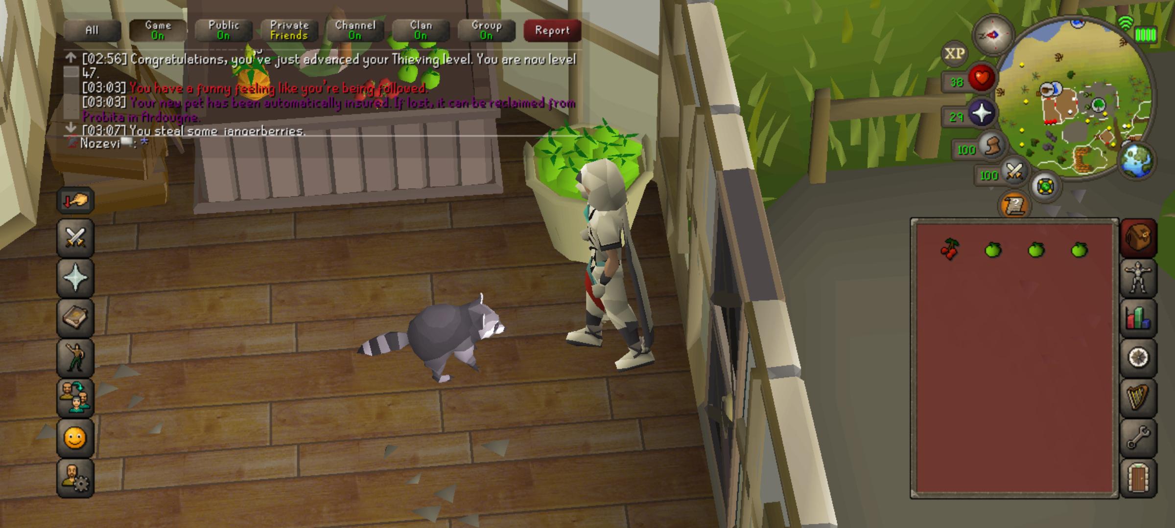 Pet rocky at 47 thieving r/osrs