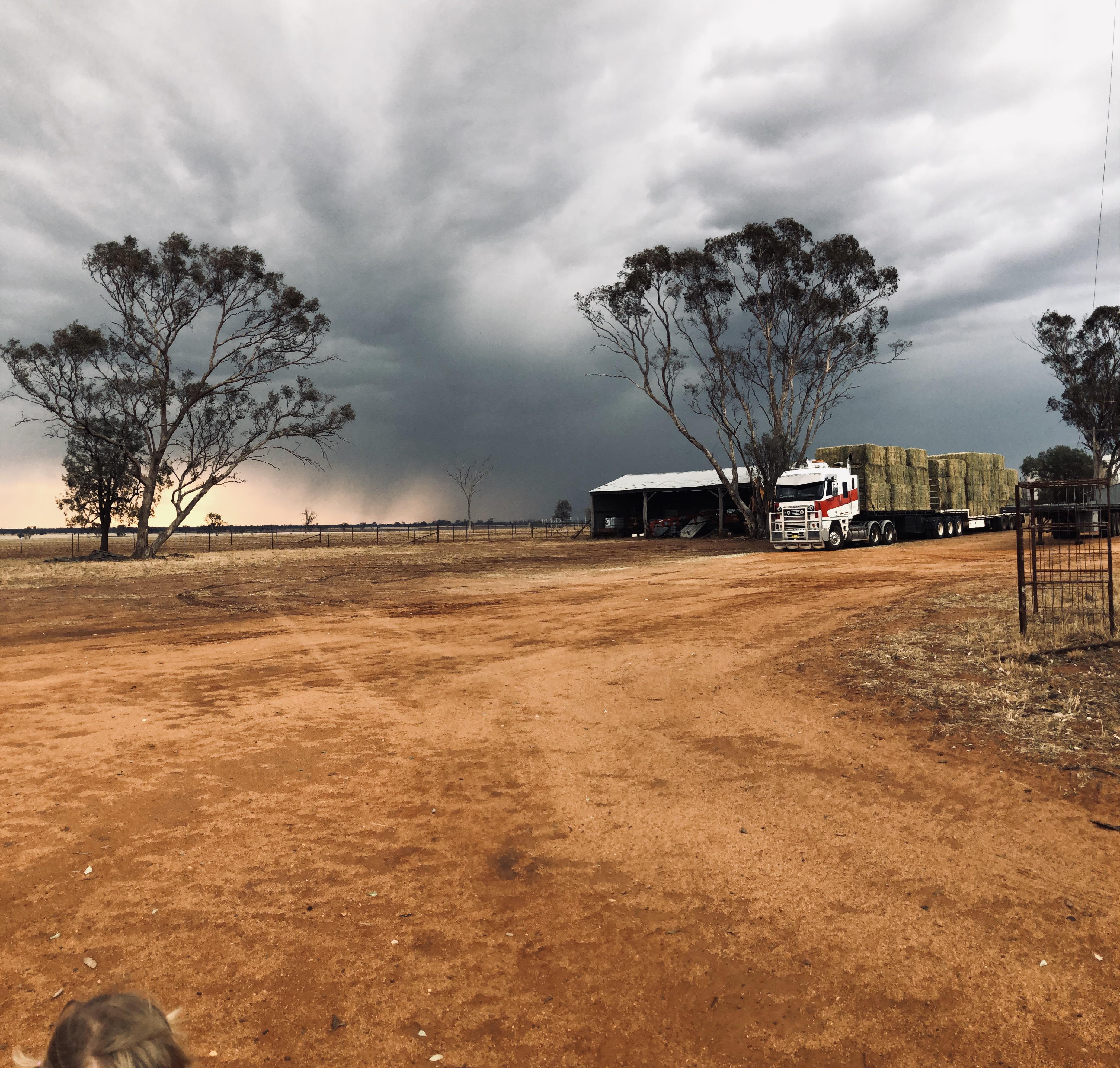A storm on the horizon on our farm in Baradine, NSW. There’s a lot in