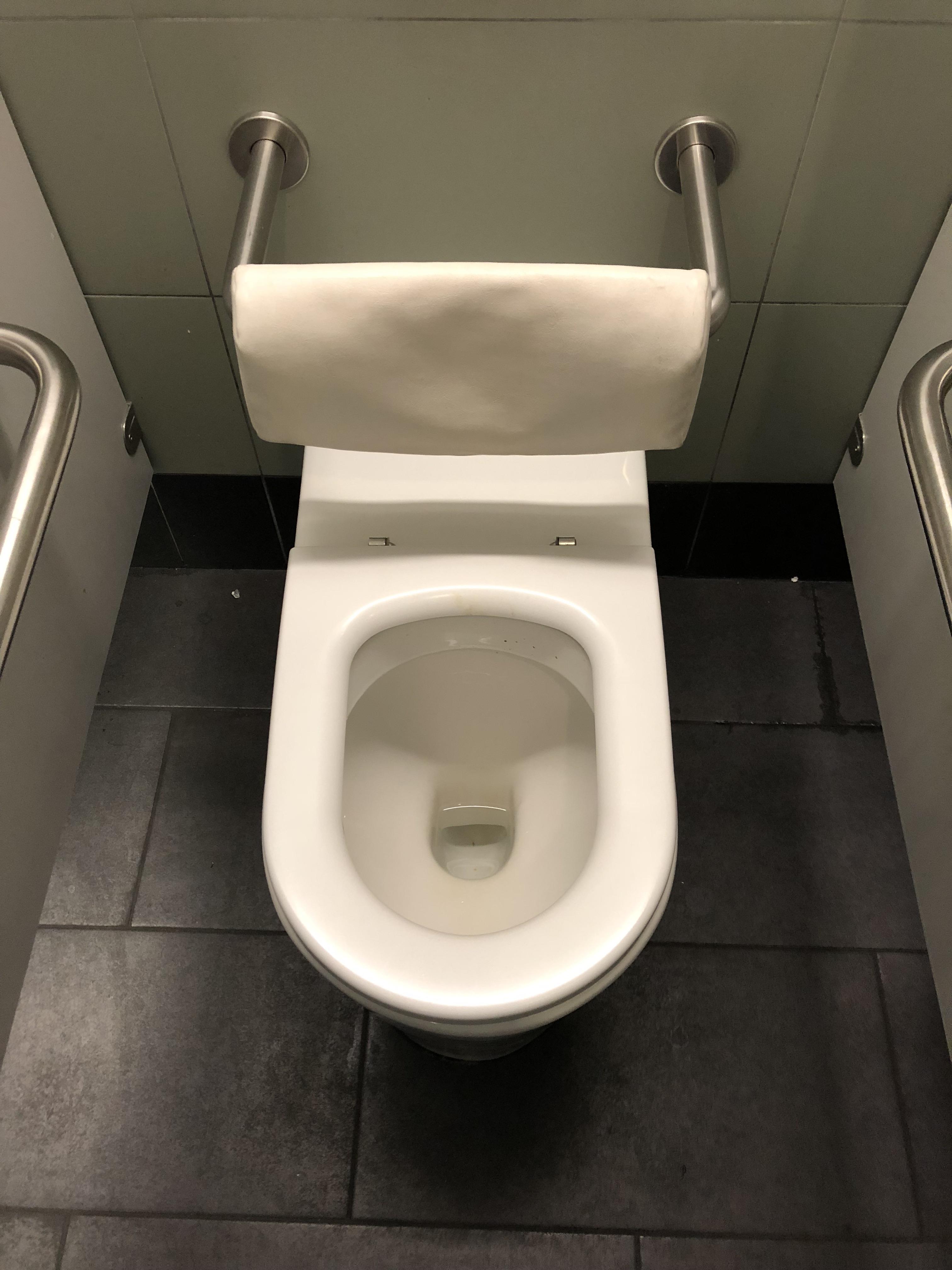 The toilets in Dublin Airport have backrests r/mildlyinteresting
