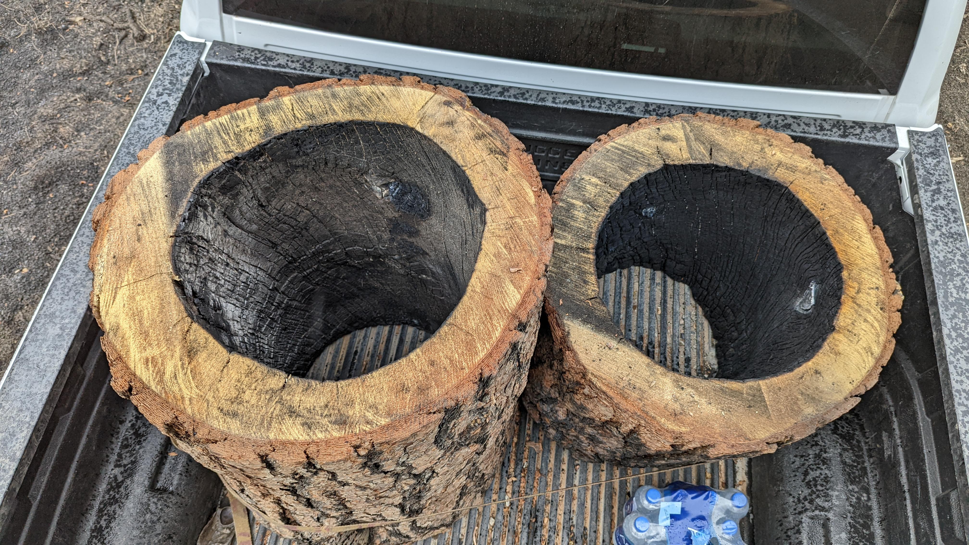 How would I preserve these stumps as is, with bark and burn marks? I