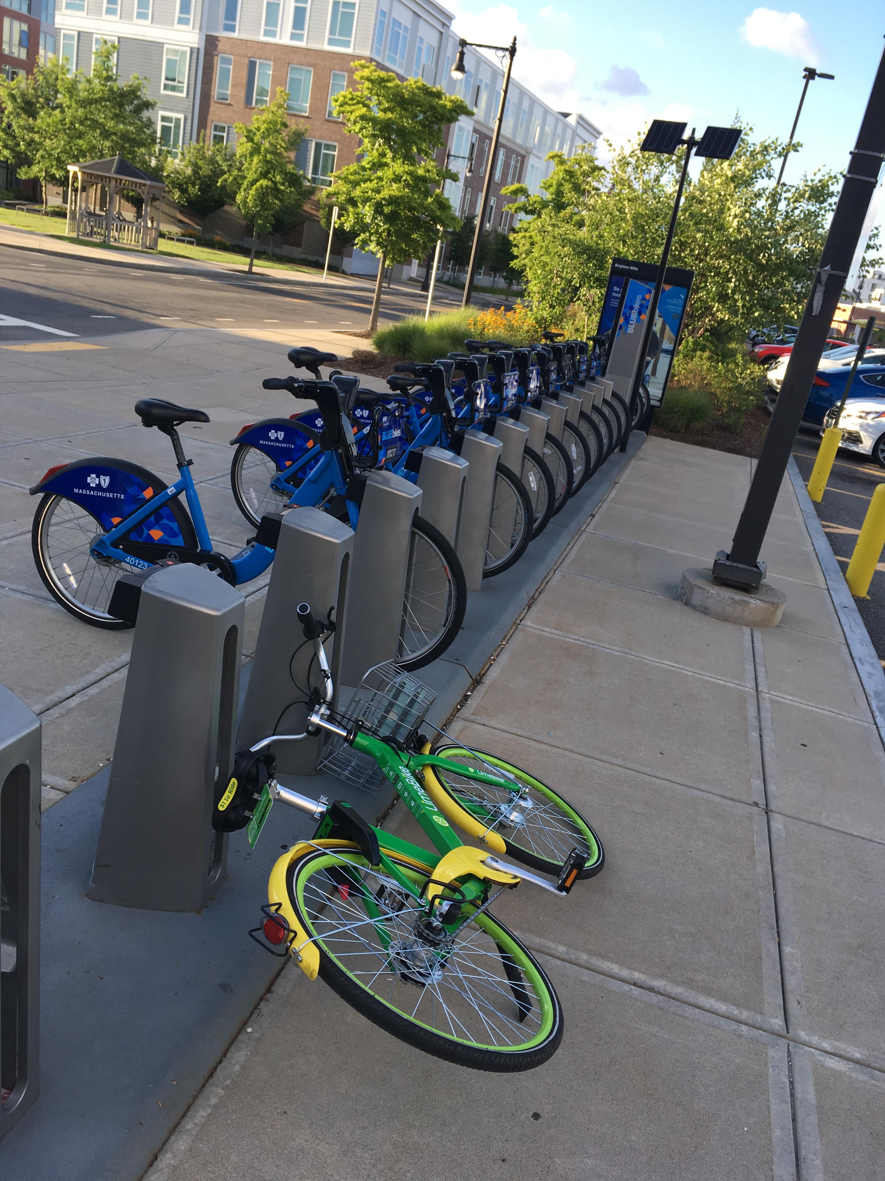 The essence of the lime bikes problem here in Brighton, Watertown r