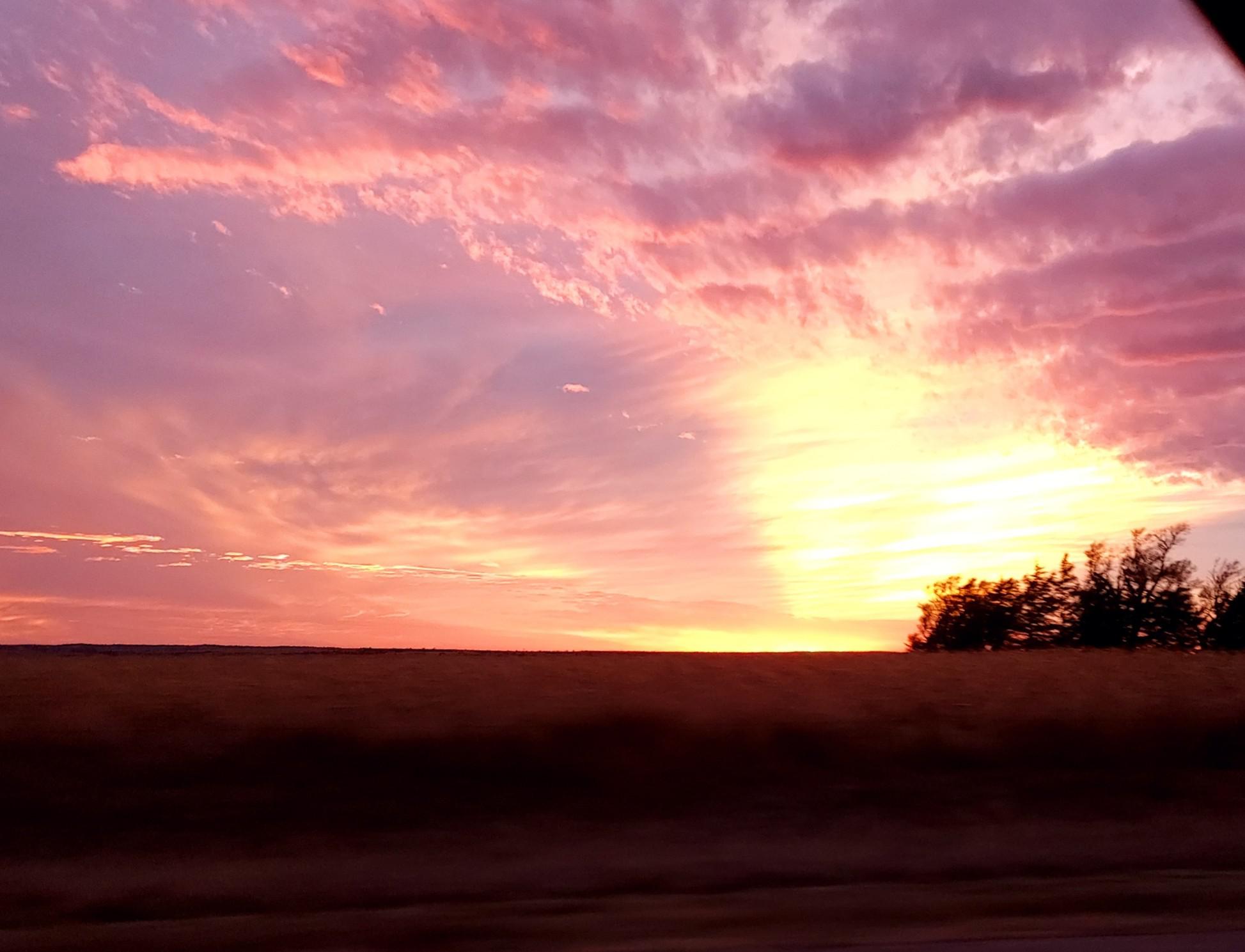 Wellfleet, NE r/Nebraska