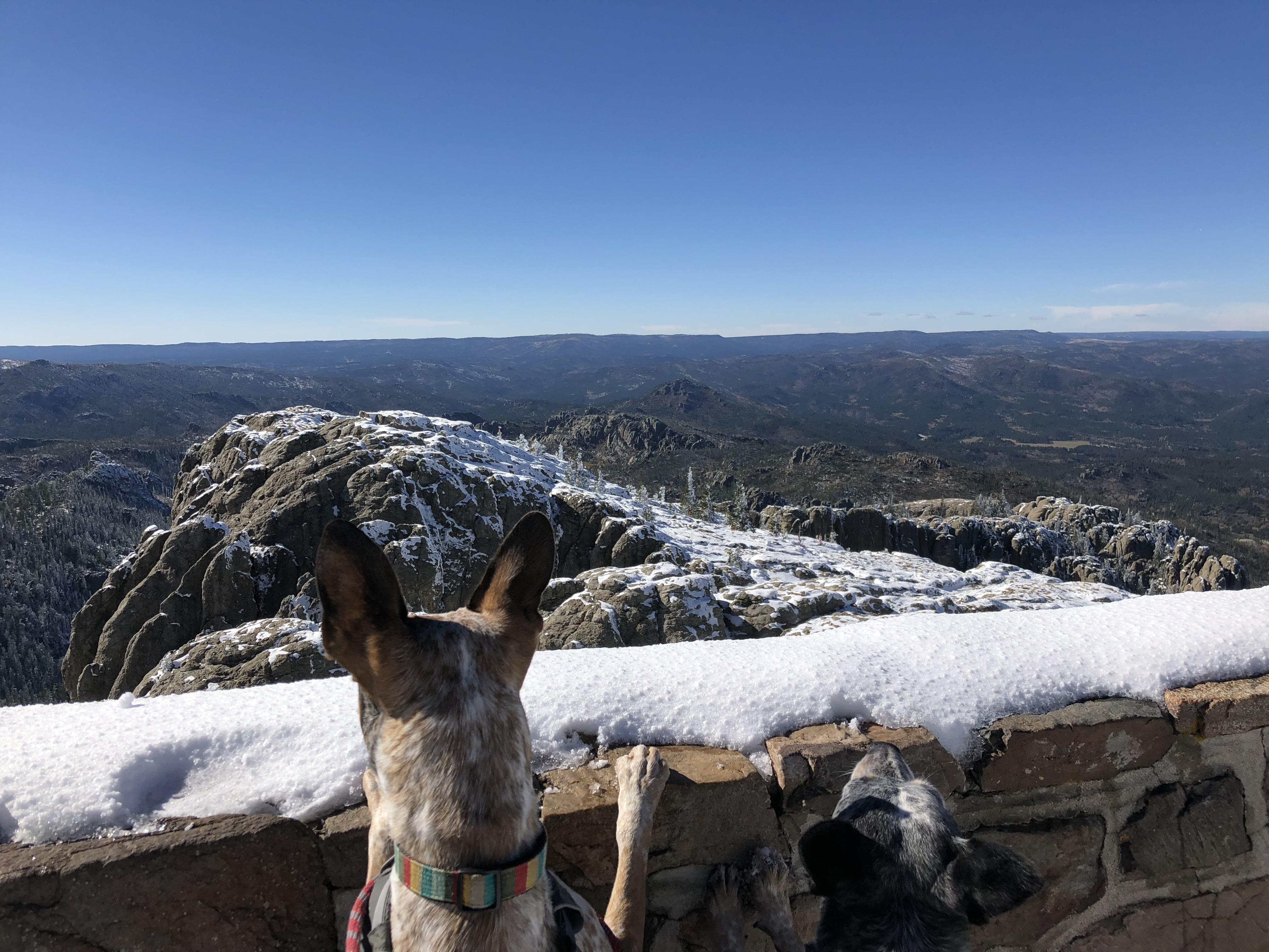 We hiked up Black Elk Peak today. It’s 7 miles round trip and the