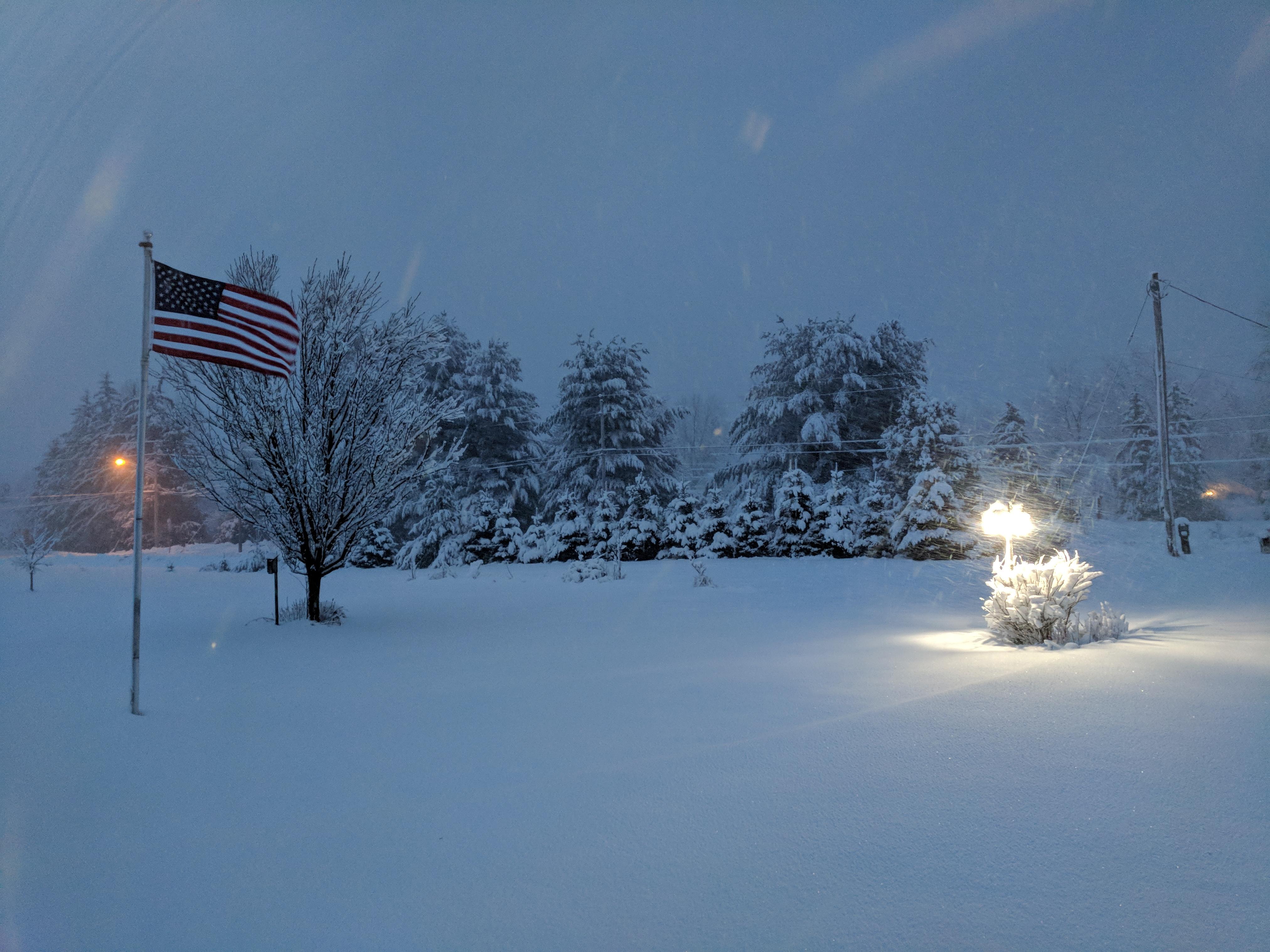 Heavy wet snow in Central New York this morning. Looks pretty too. r/pics