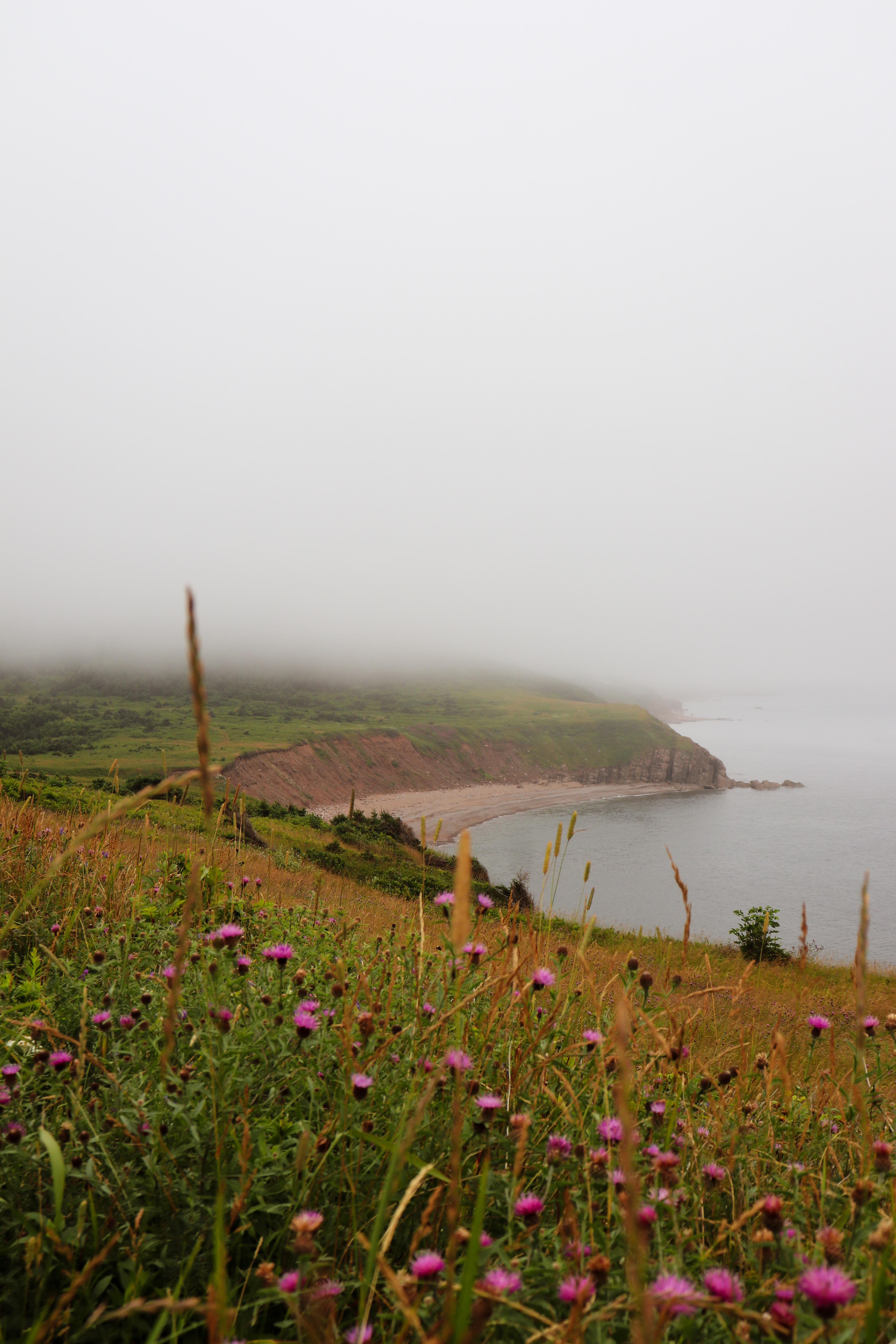 Pleasant Bay, Ns r/LandscapePhotography