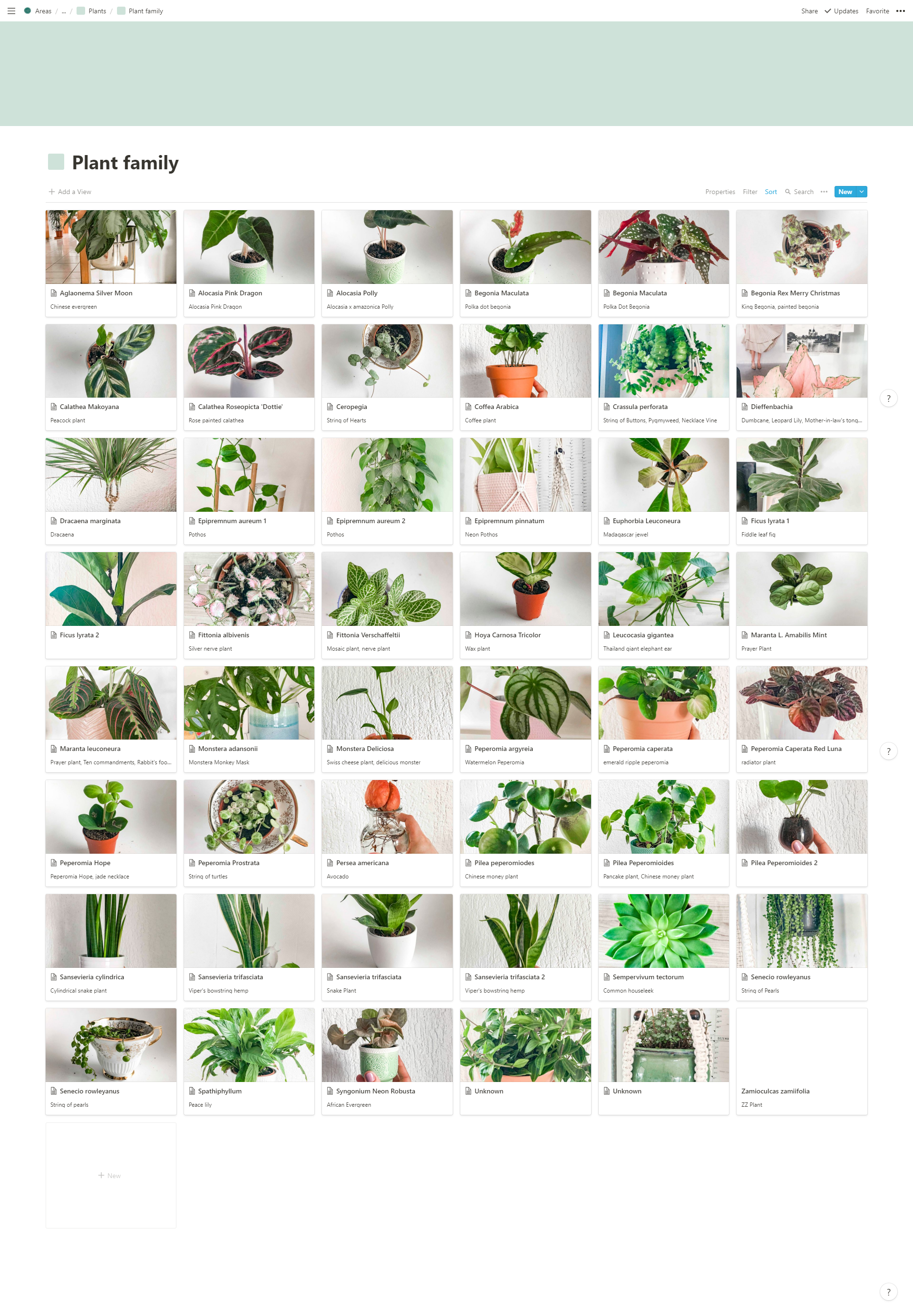 Here's my houseplant catalogue in Notion r/Notion