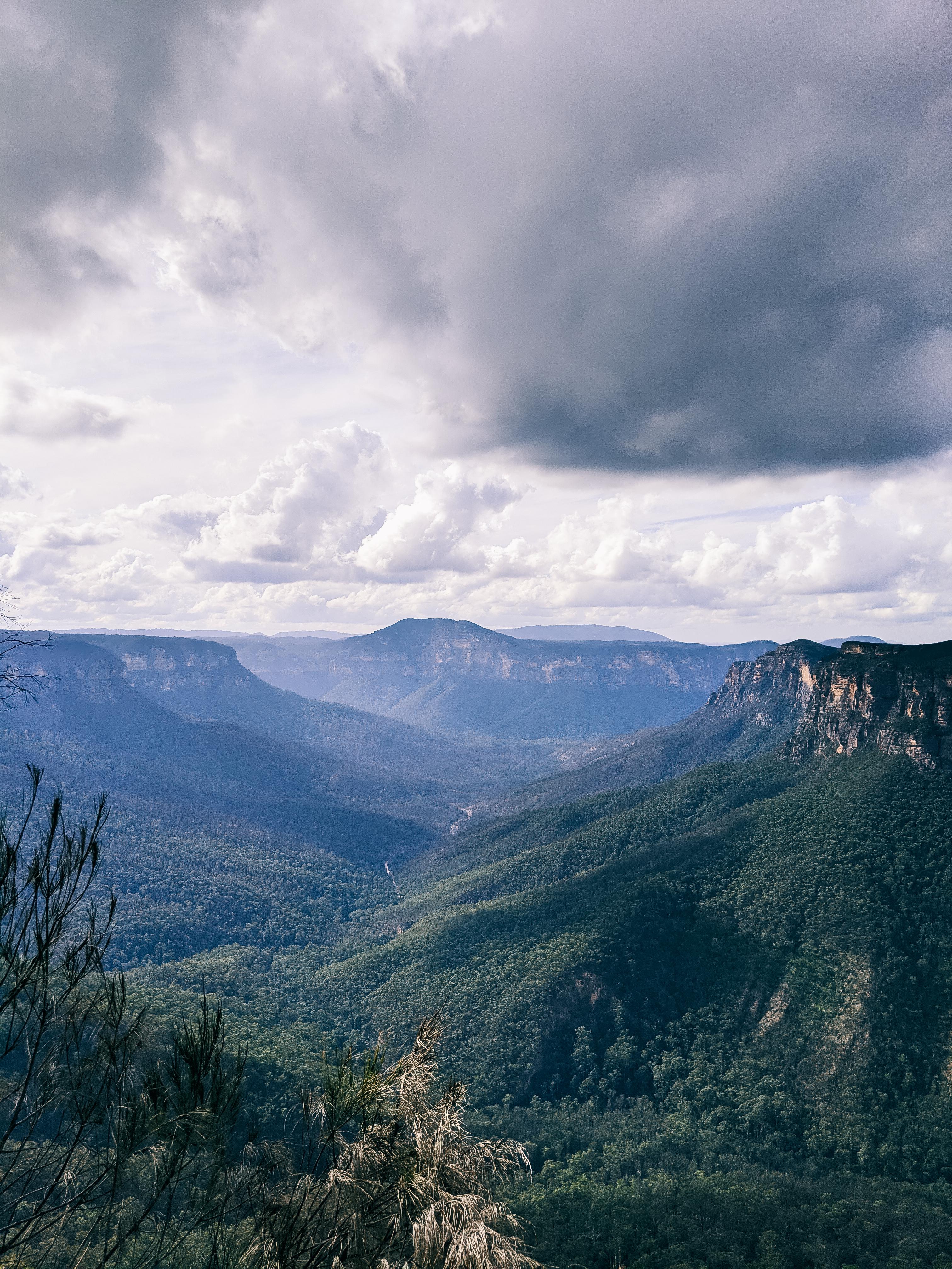 Blue Mountains National Park, NSW, Australia 1440x1801 [OC] r/EarthPorn