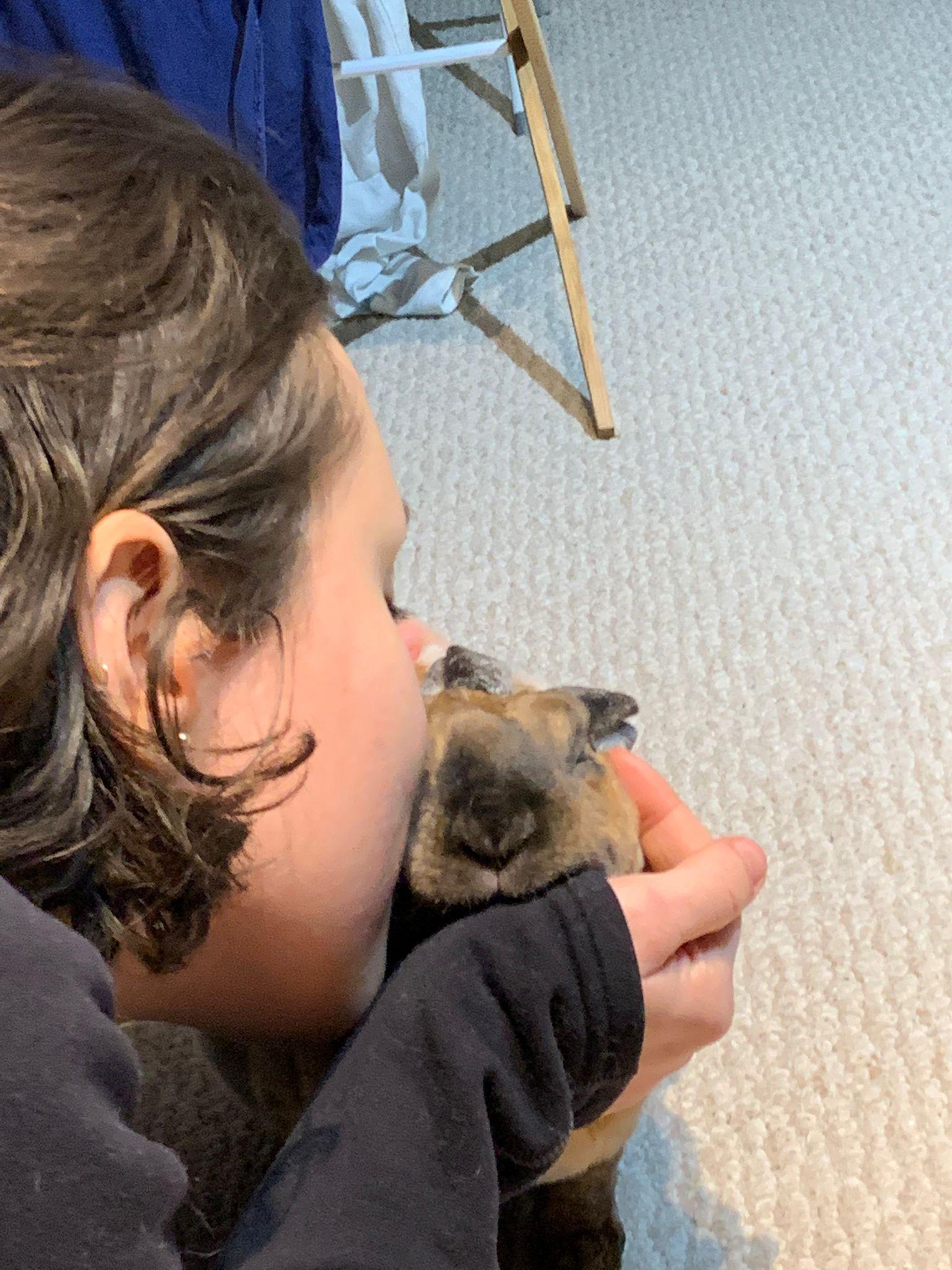 Do your bunnies also like to be kissed on the cheeks? My guy gently