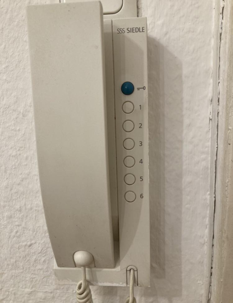 Just moved in here in Germany. I know that the blue dot is for someone to get in when they ring