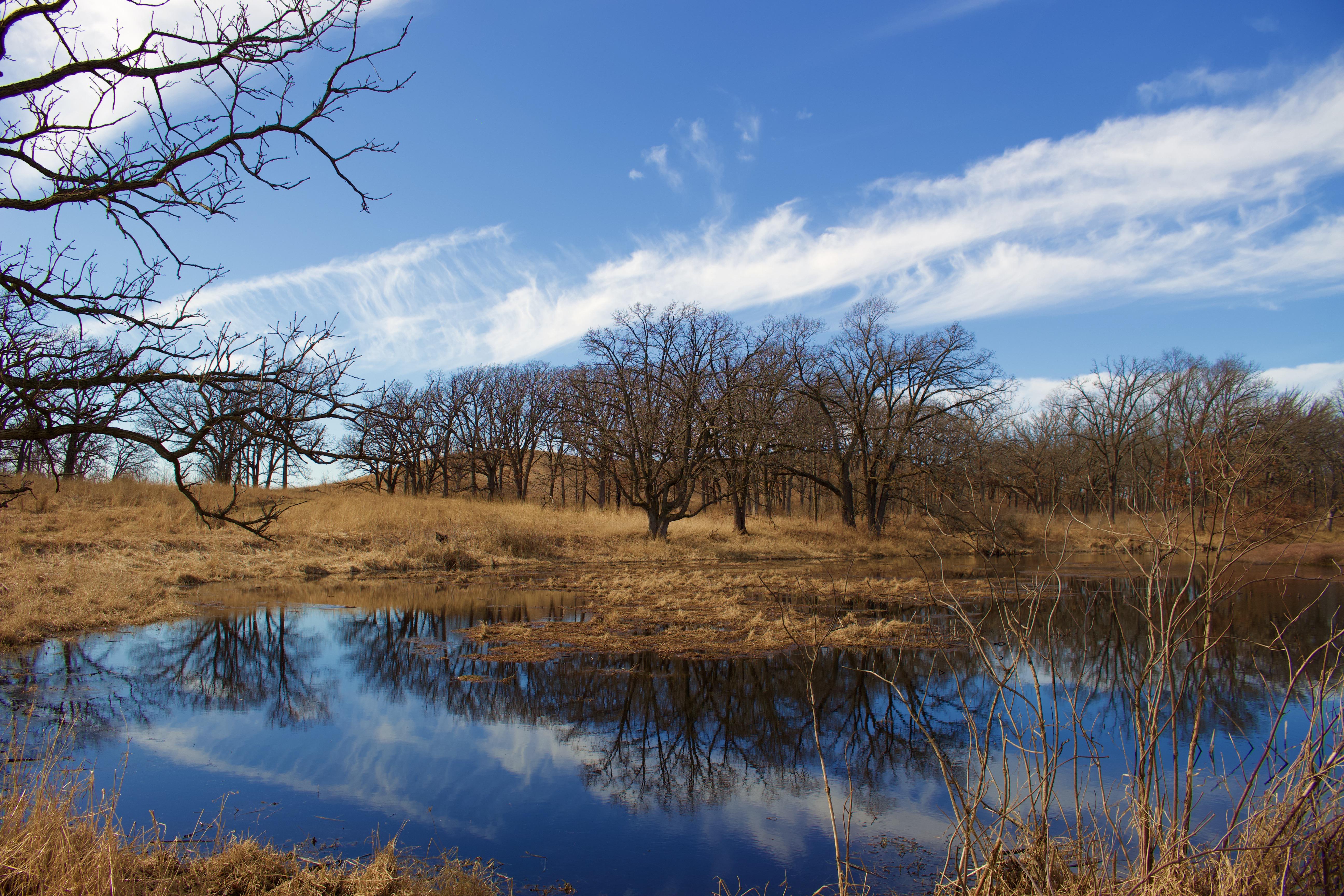 glacier kettle in rural Illinois (1/2) r/pics