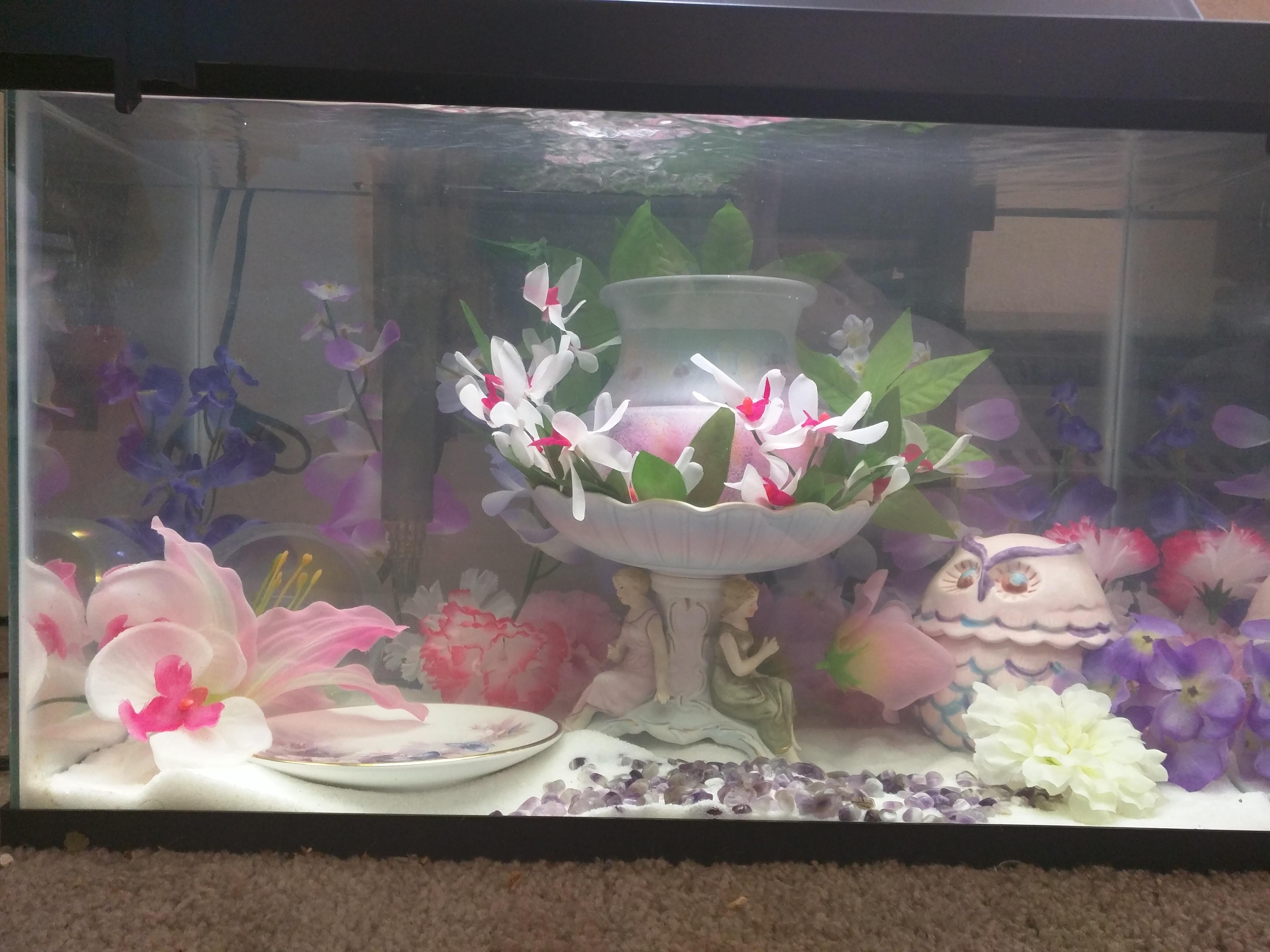 My 10 gallon that I've been setting up for a betta. Porcelin decor and