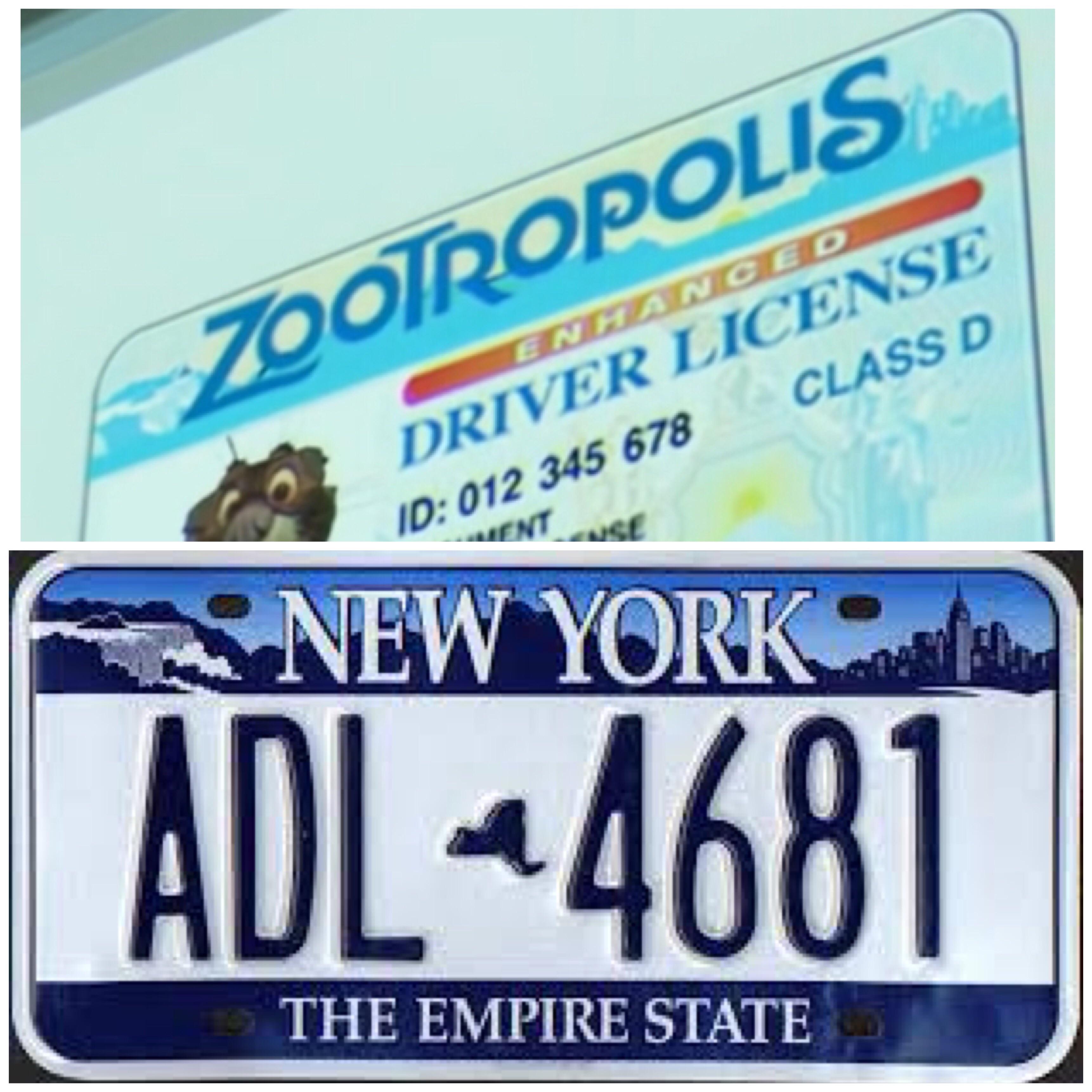 Zootopia driver’s license is definitely a reference to New York’s