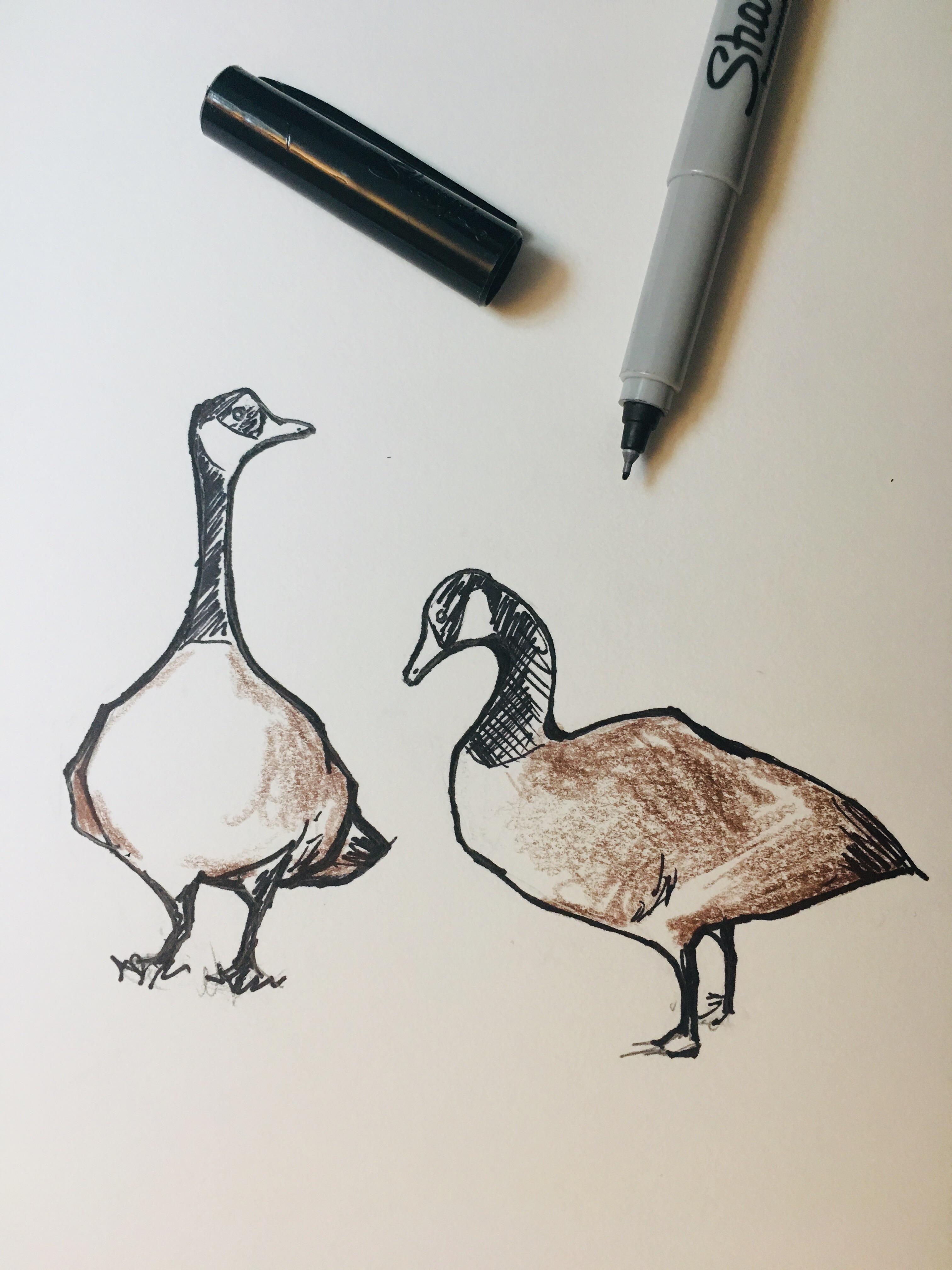 Goose doodle r/doodles