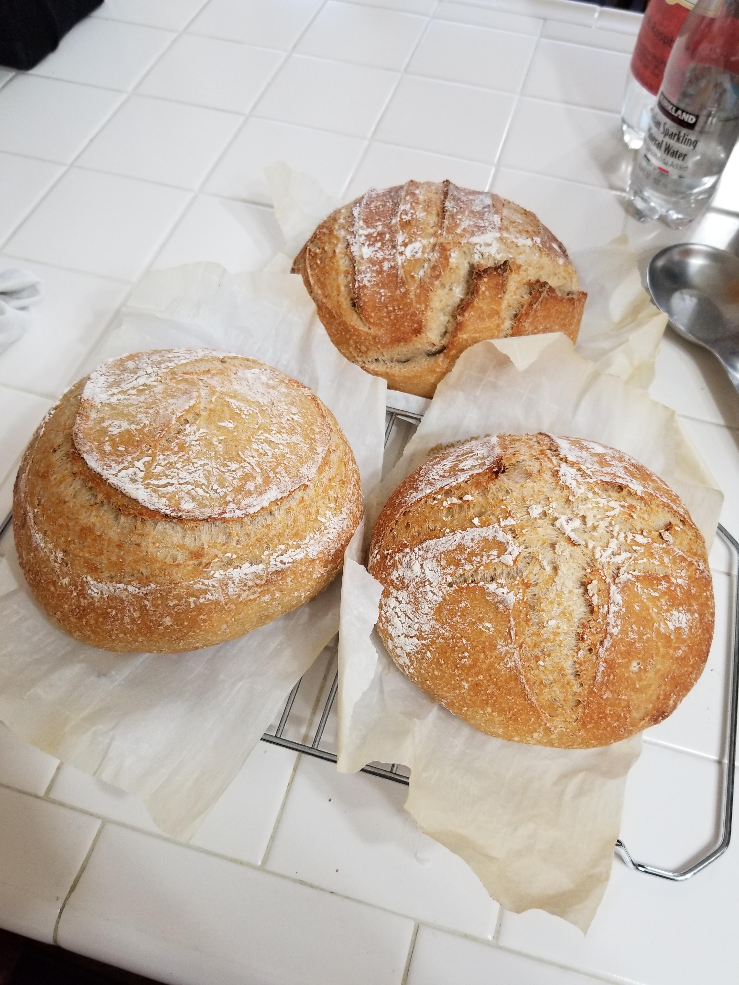I brought some bread I made to my Highschool and people
