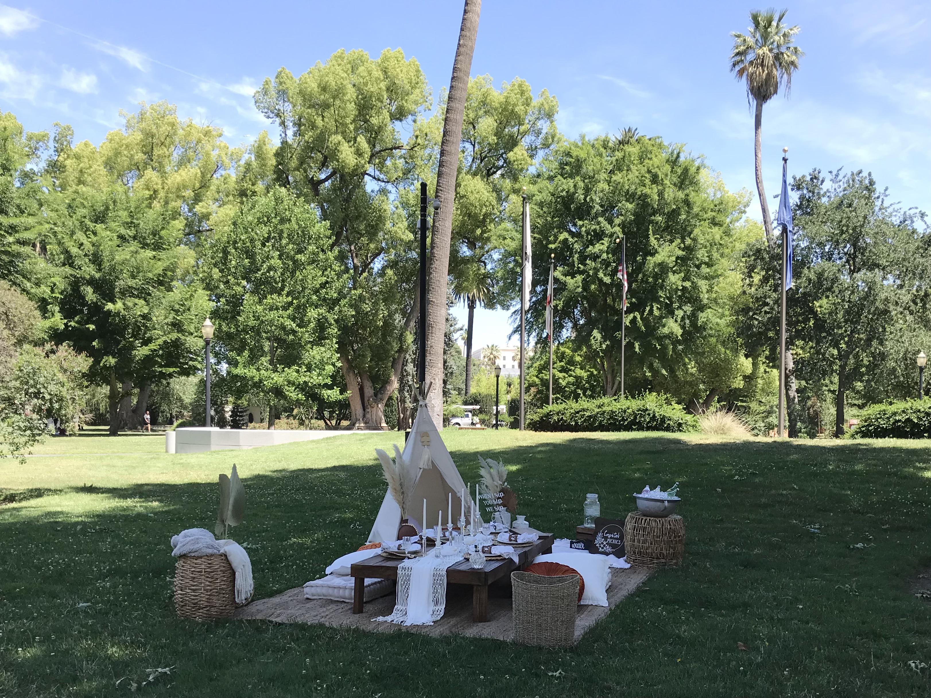 5/13/21 Picnic at Capitol Park r/Sacramento