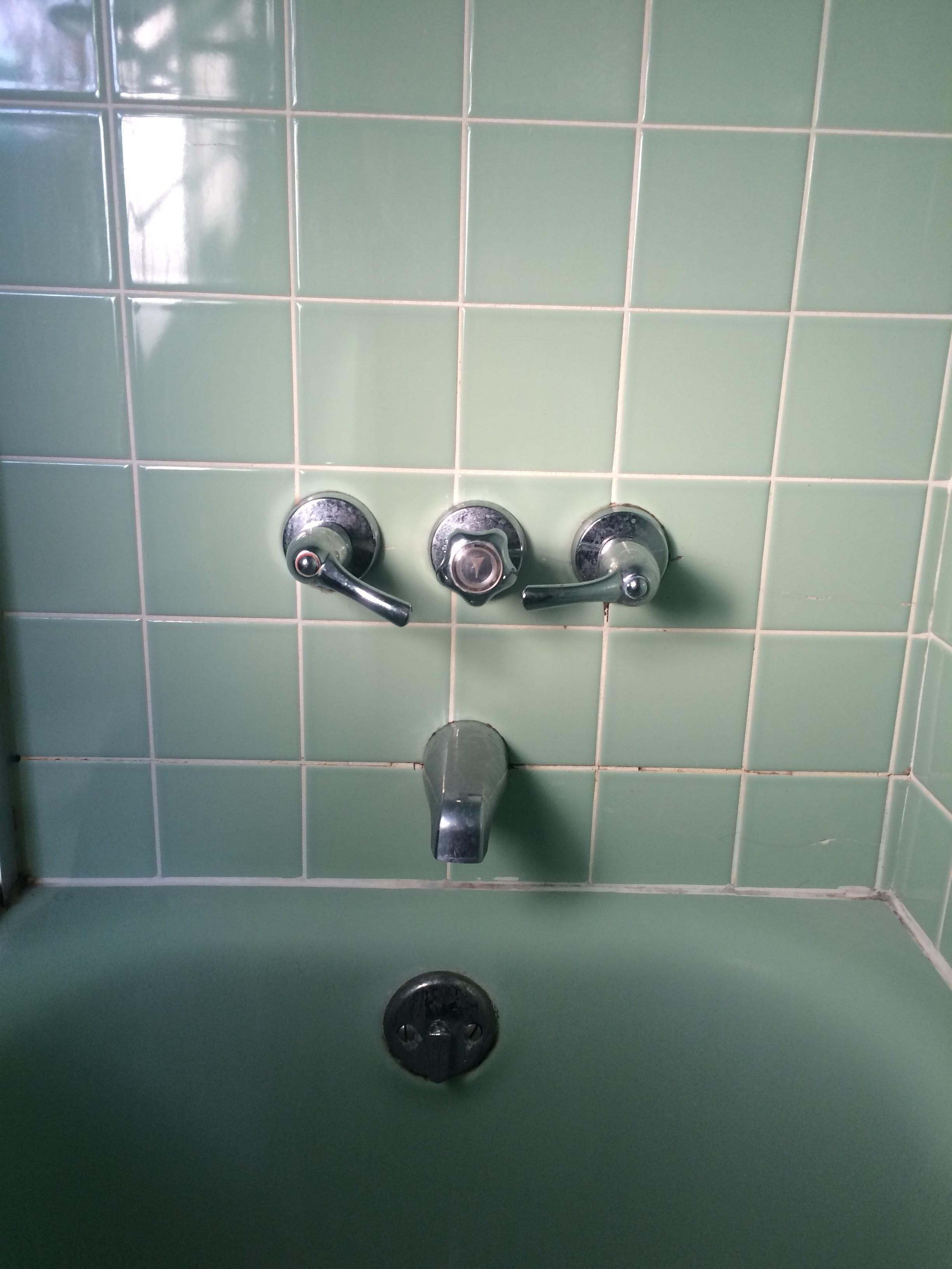 In my bathtub the handles and spout are off center. r/mildlyinfuriating