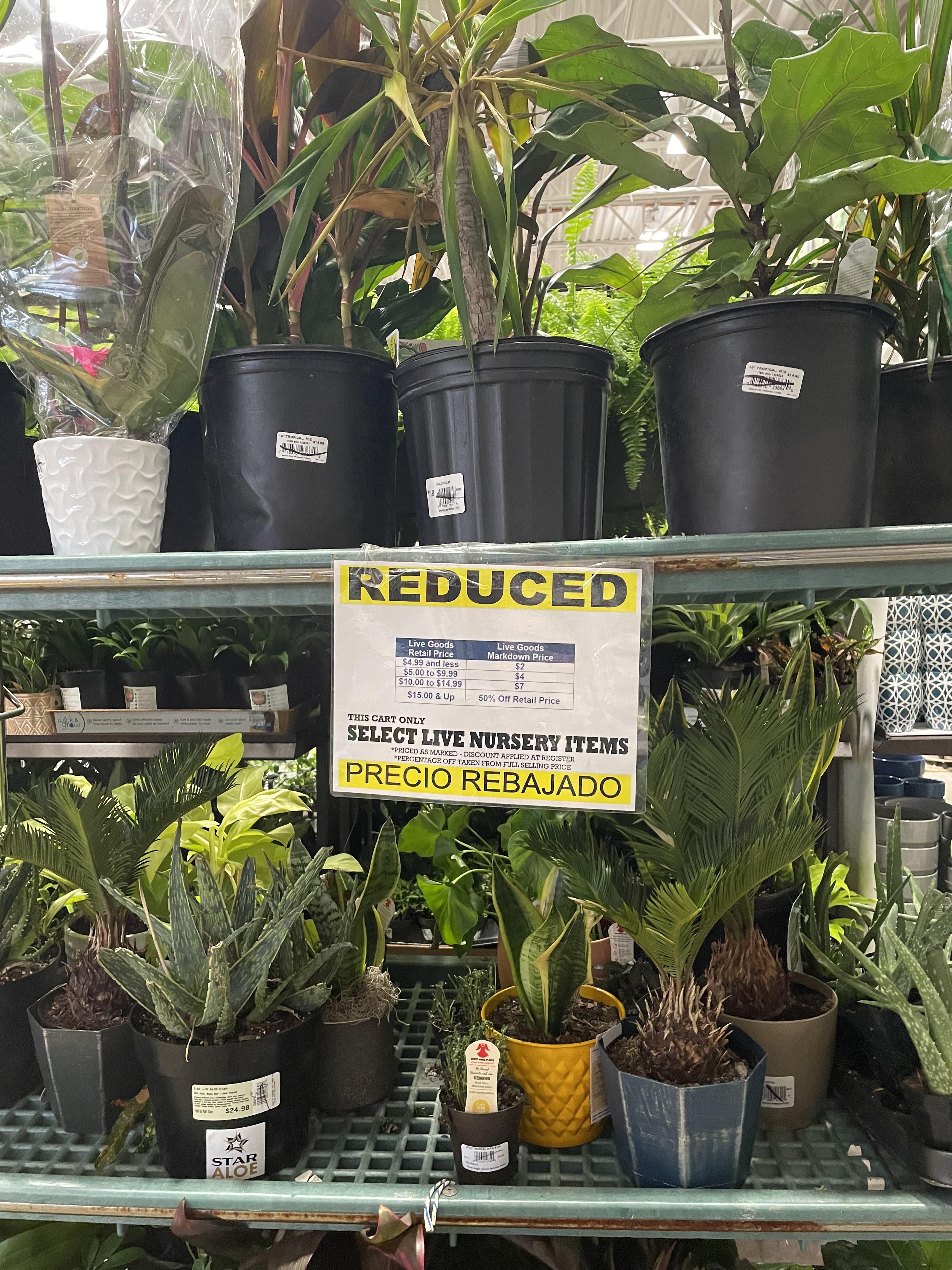 Lowe’s in Milford, MA has a sale on plants. Pests included for free