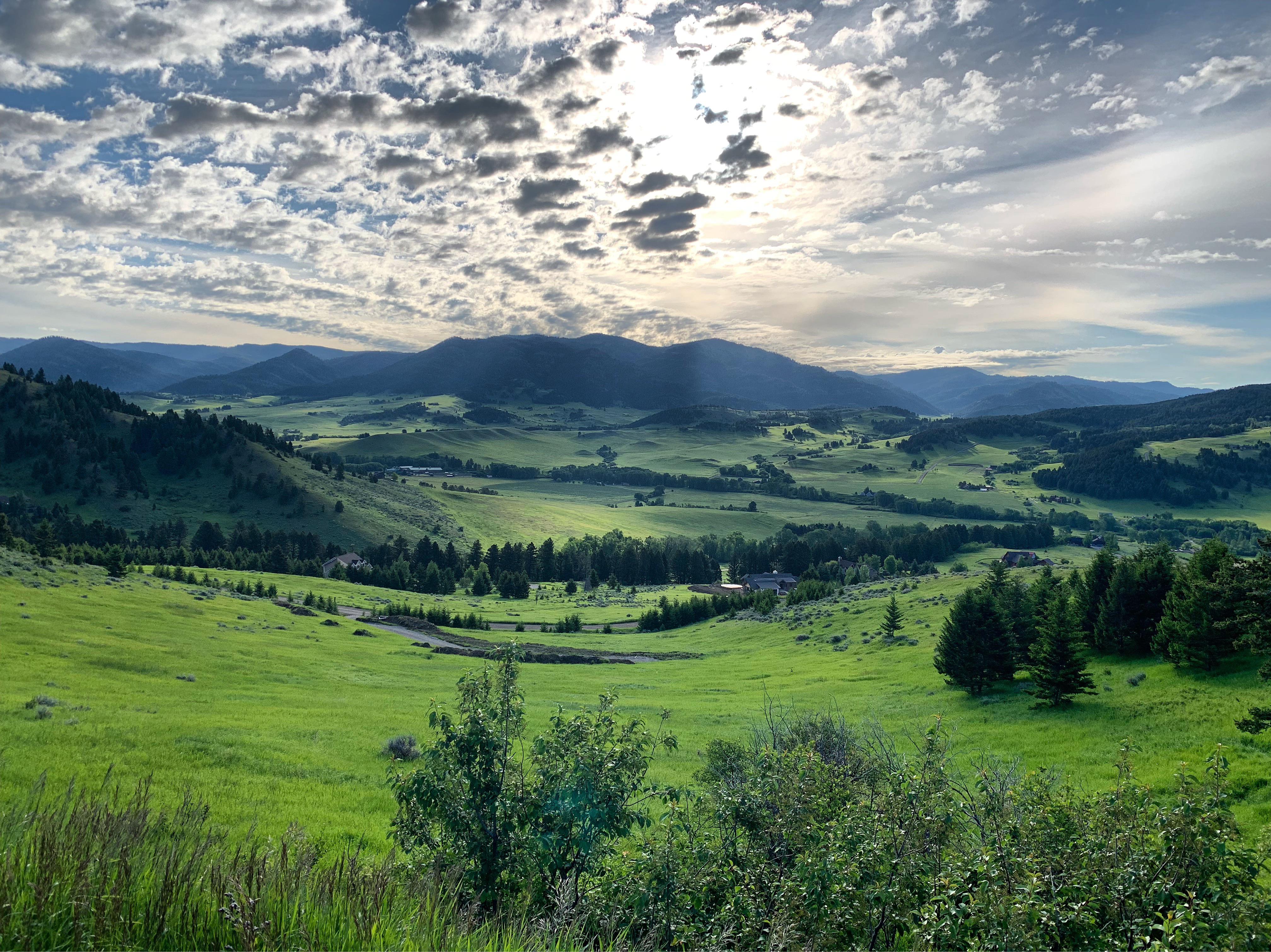 My view while working in Bridger Canyon r/Montana