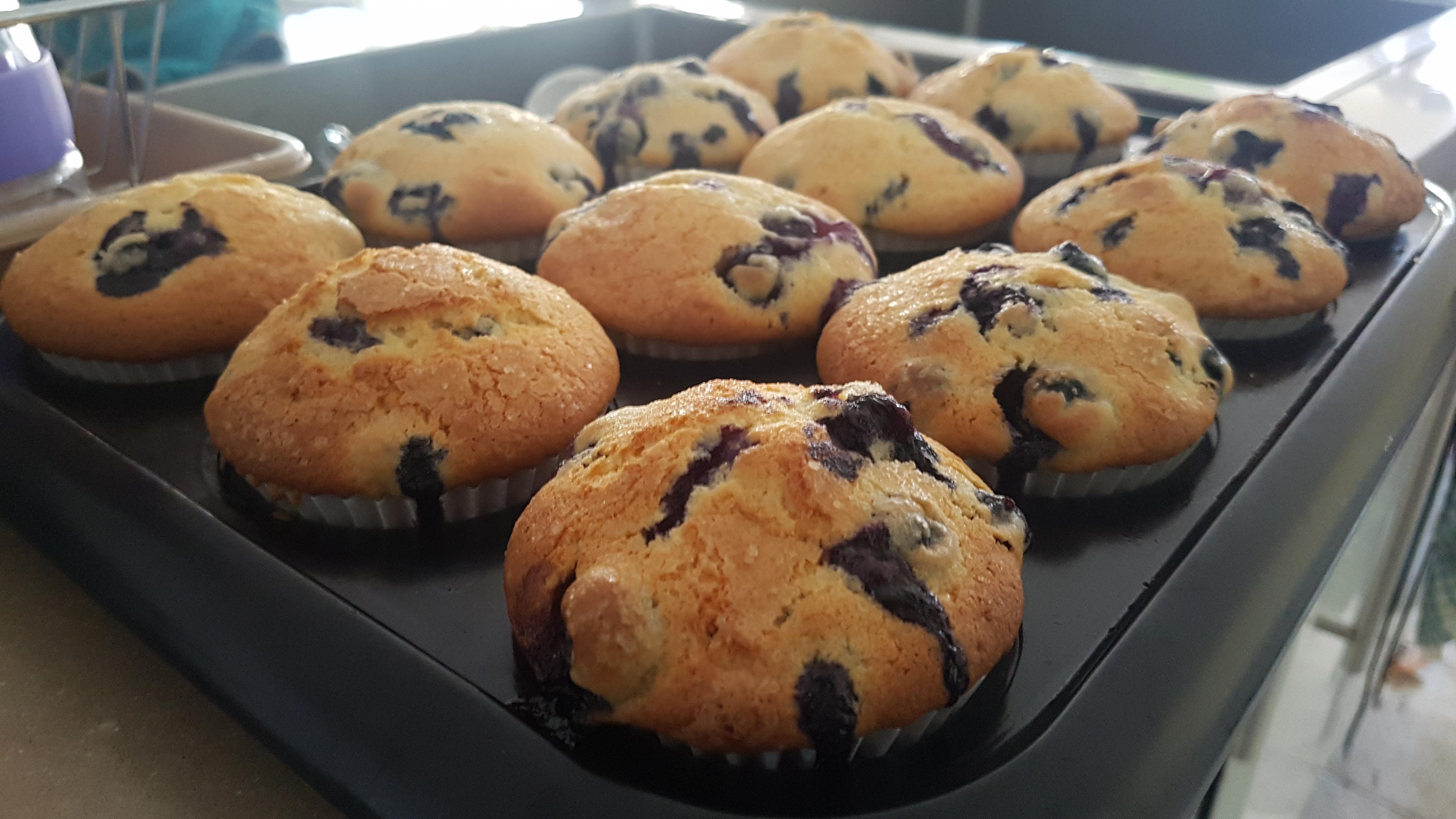Blueberry muffins fresh from the oven! r/Baking