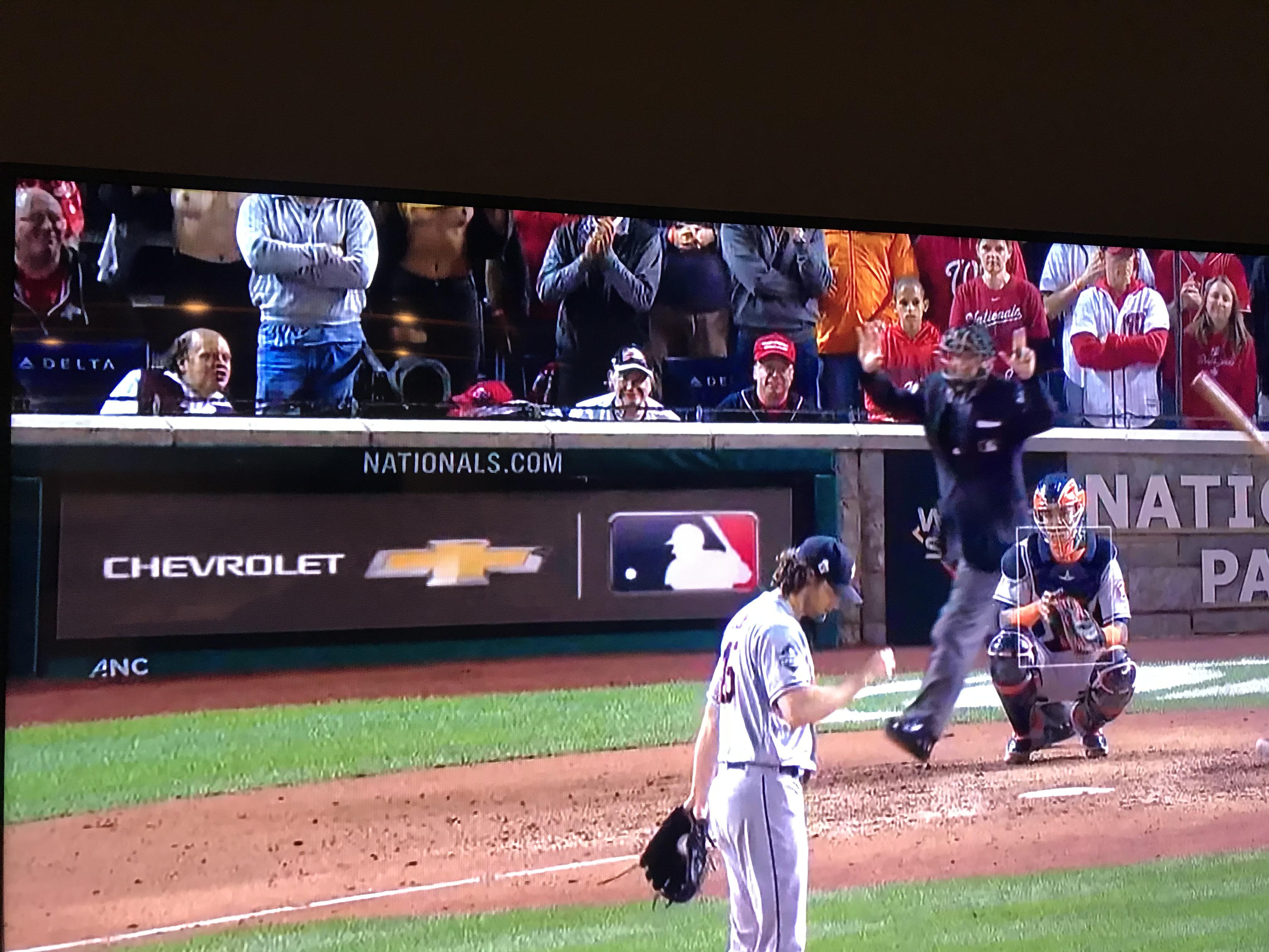 Julia Rose (Baseball Flasher)