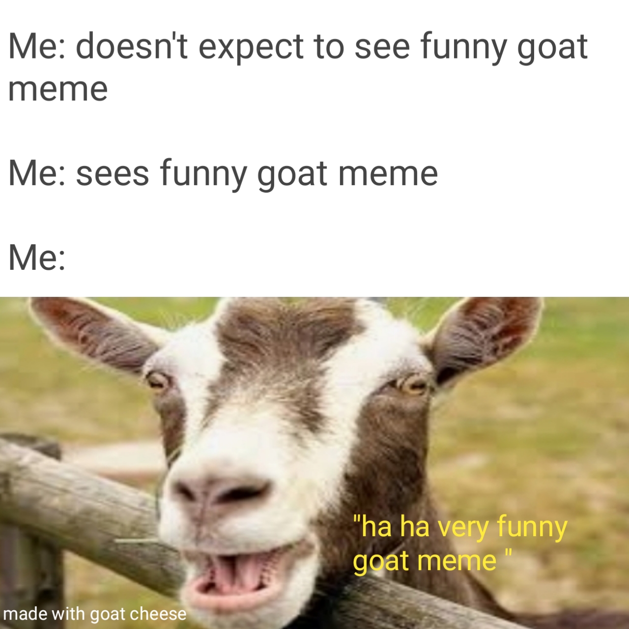 Not a funny goat meme memes
