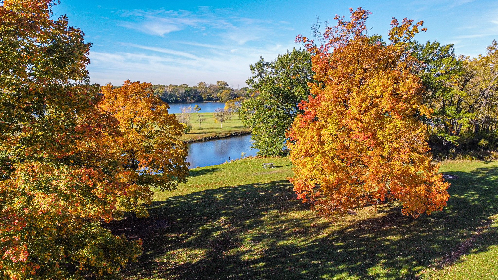 Where are all the fall colors this year? I was able to find this small