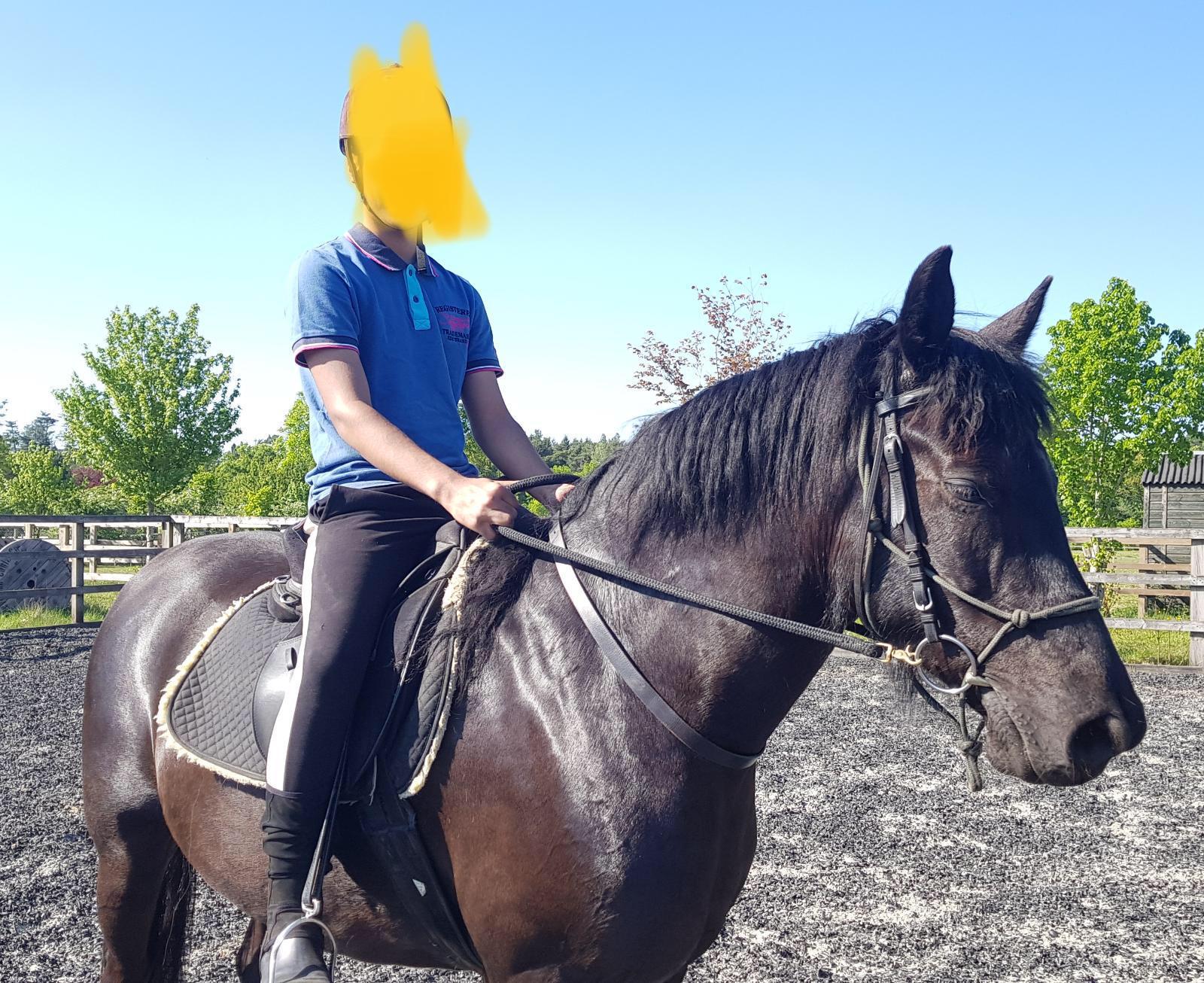 any tips on how to get a horse to stand still while being groomed