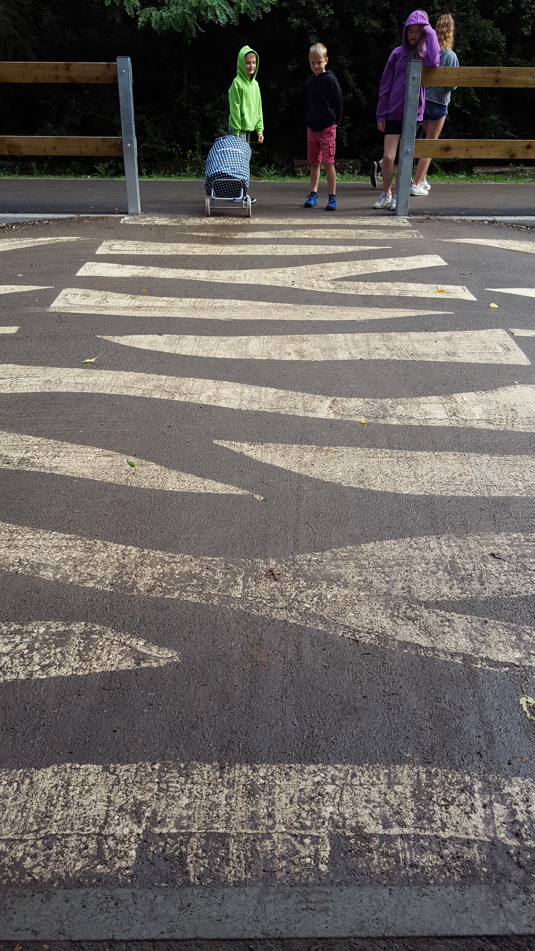 This Zebra crossing is painted like a Zebra. r/mildlyinteresting