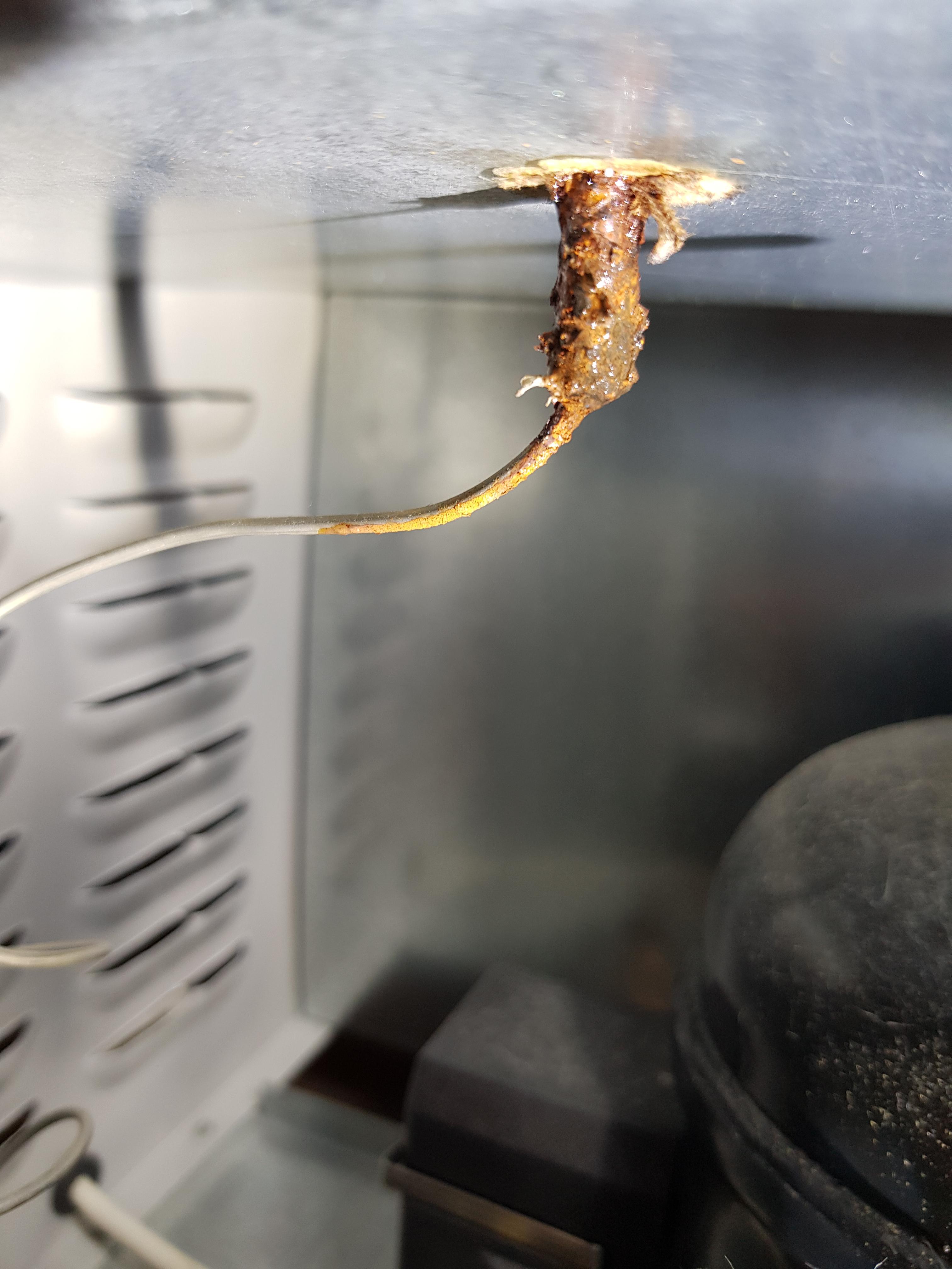A metal wire in my freezer comes from the temp regulator right into the
