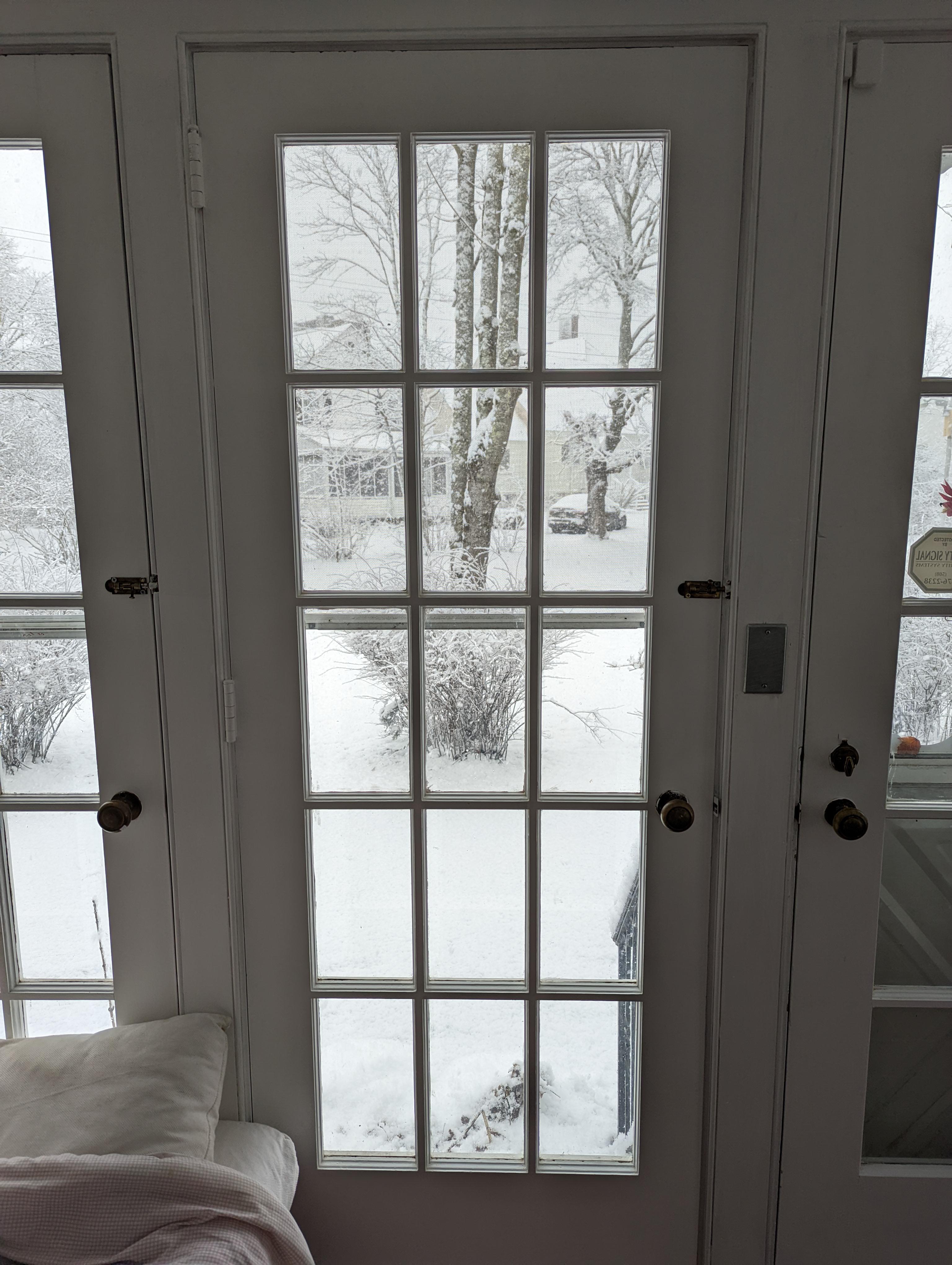 First Meaningful Snowfall [Wareham, Massachusetts; 20220107] r