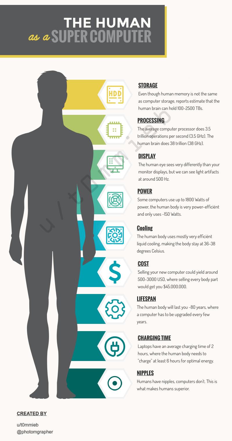 Human body as compared to a computer r/coolguides