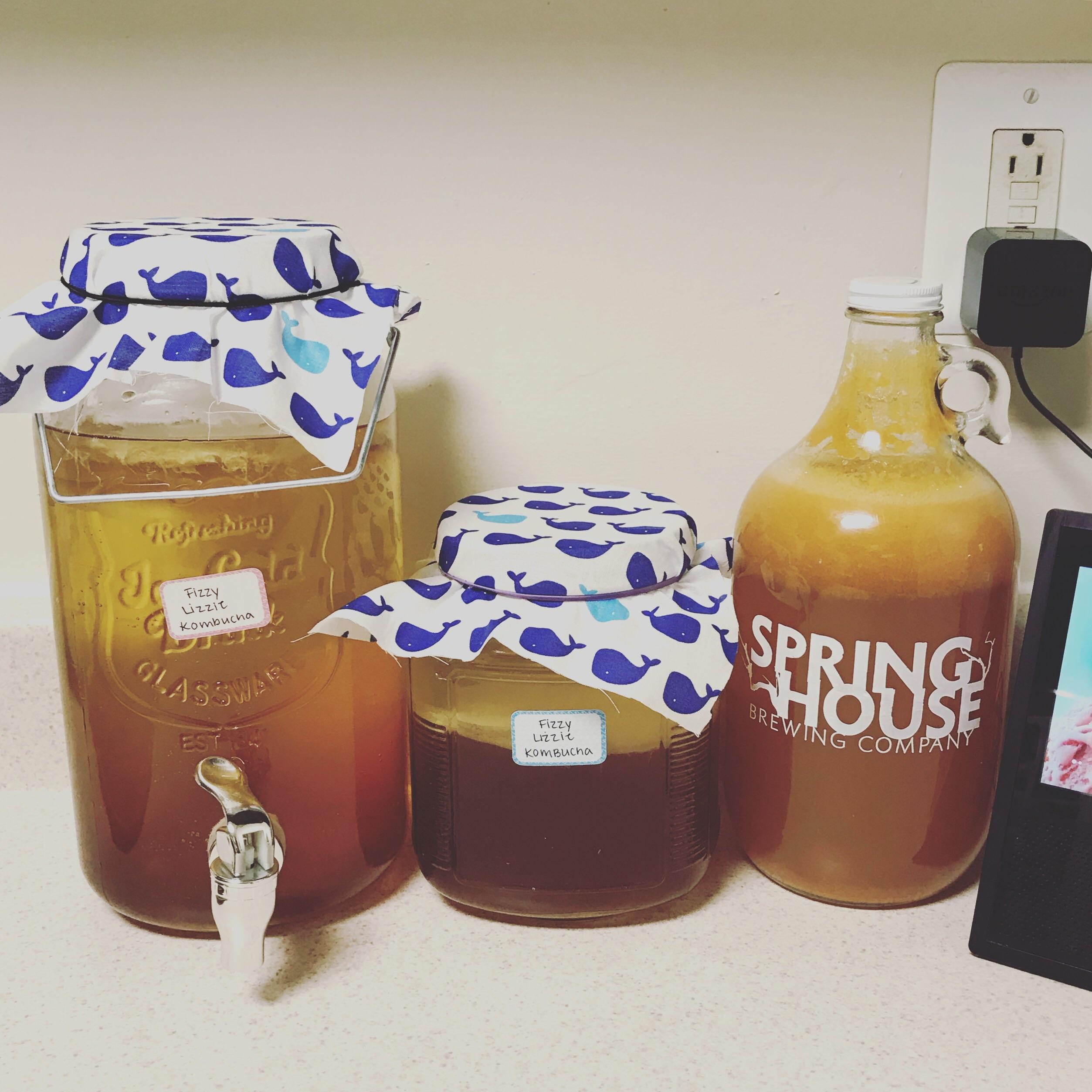 My 4th batch of kombucha is brewing and I was able to split up my