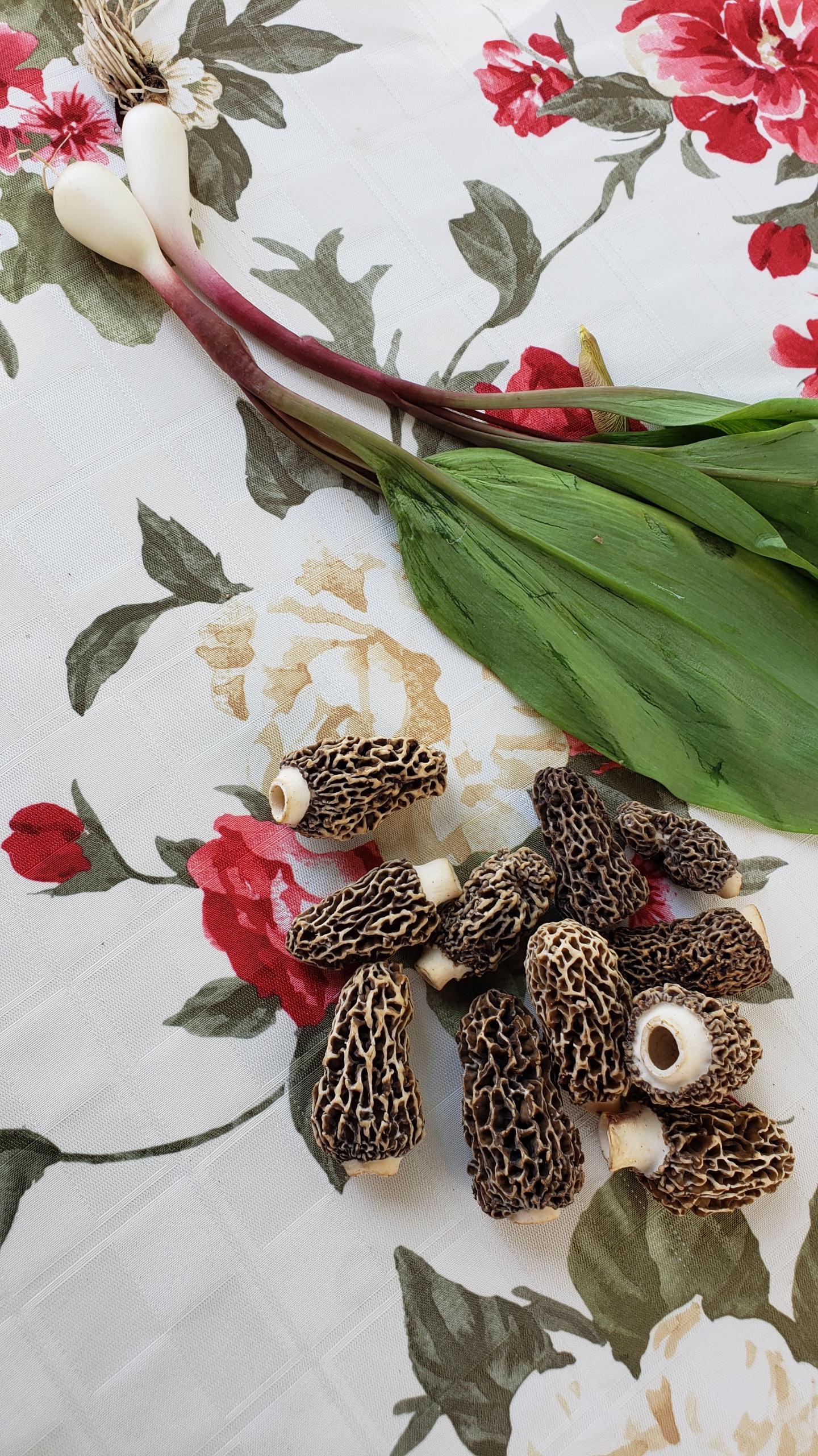 Ramps and morels. All the ingredients for a great memorial day! r