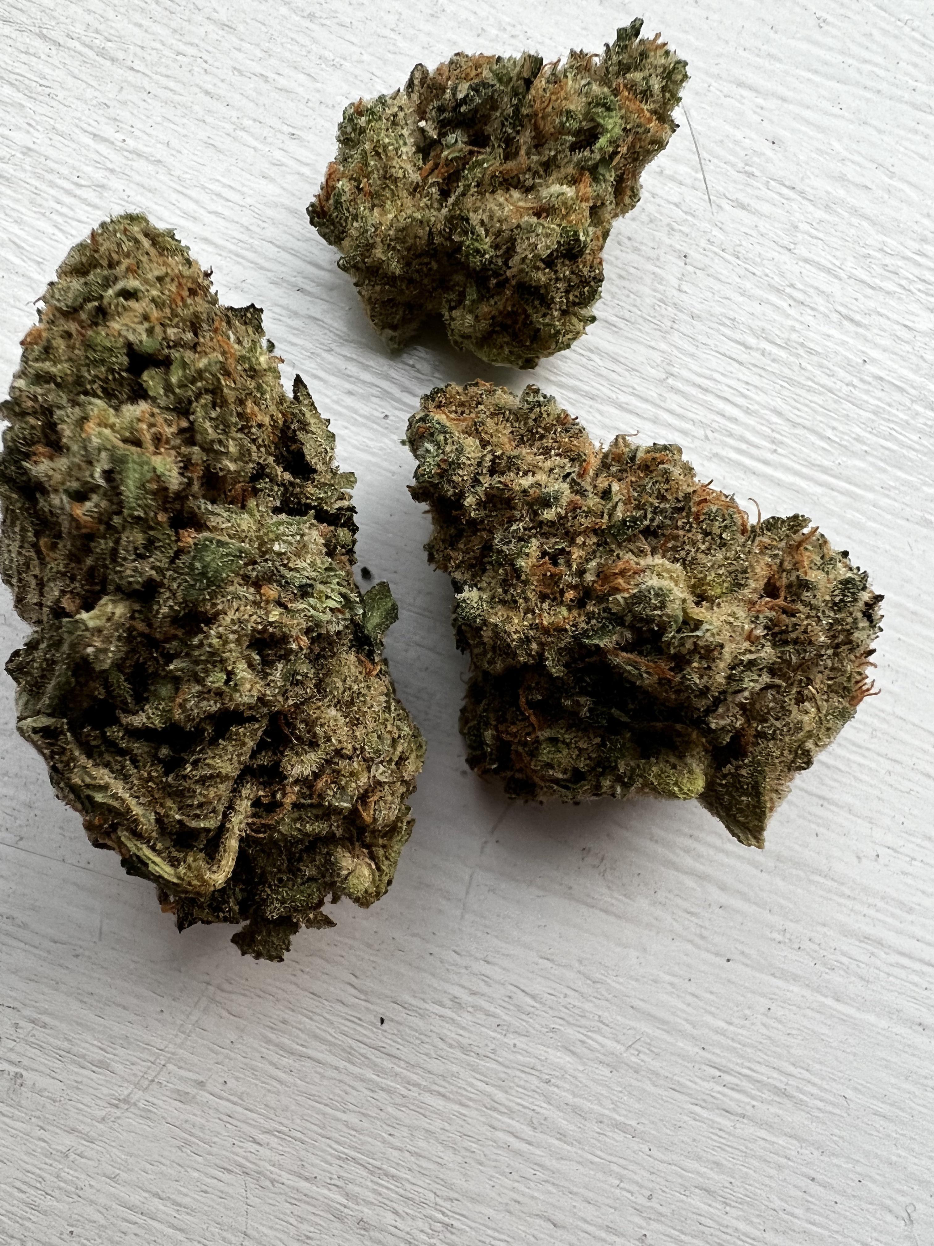756 best Curaleaf images on Pholder | FL Medical Trees, New York MMJ