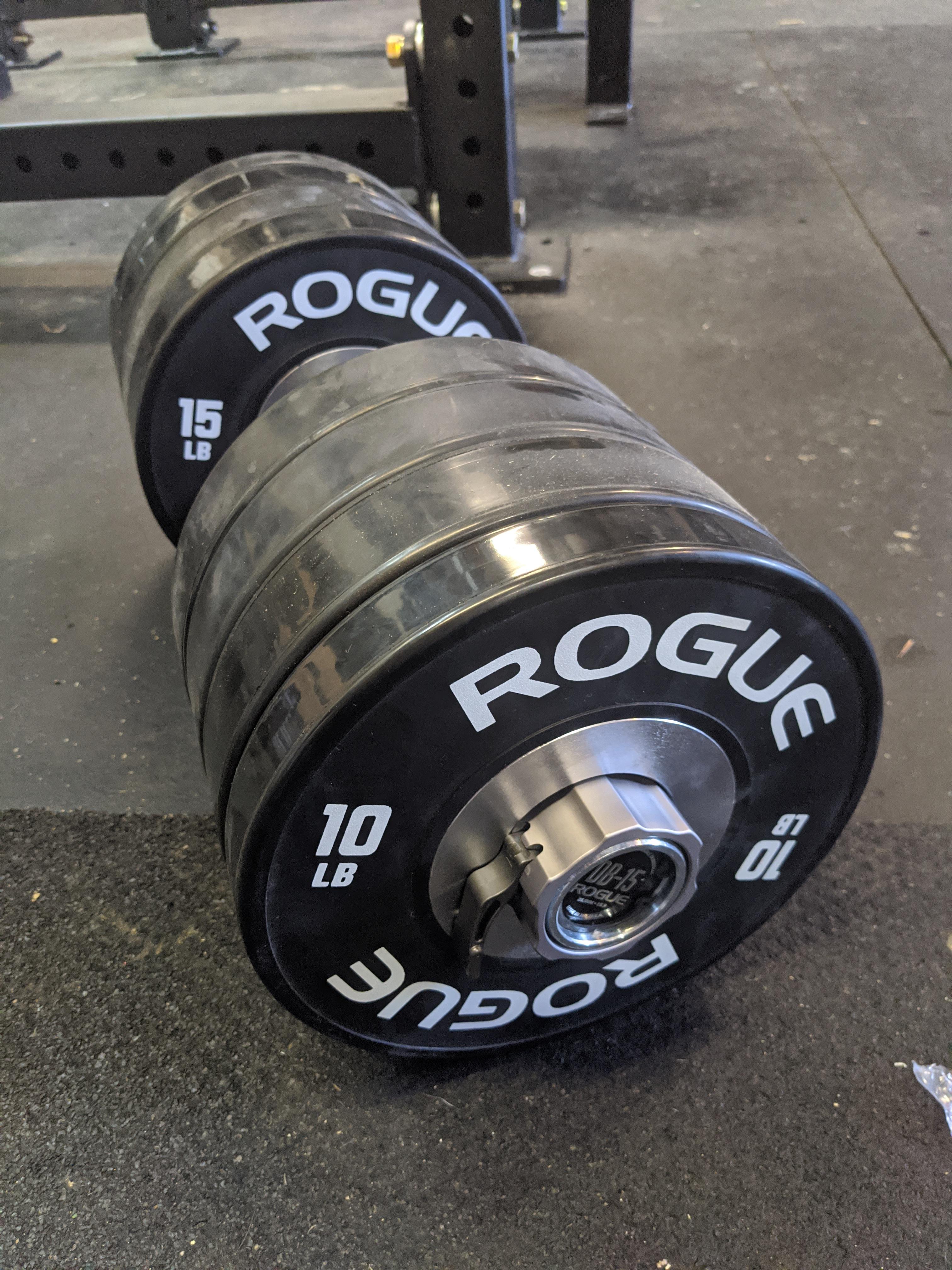 Rogue loadable dumbbells with bumpers loaded to 125 lbs. The rogue site says you can only fit 2