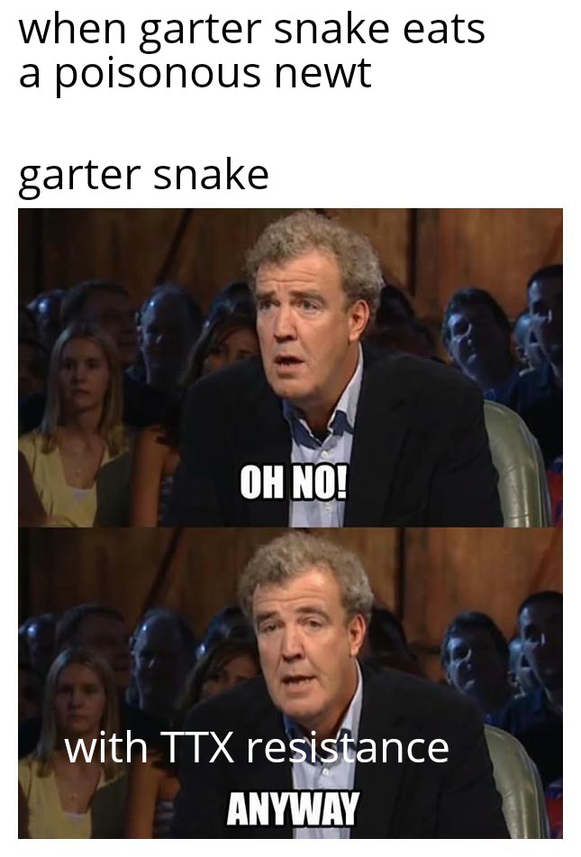 evolutionary arms race between newts and snakes r/herpetology