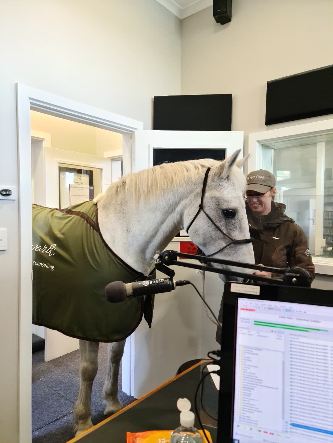 Took my horse to the radio station for an interview r/Equestrian
