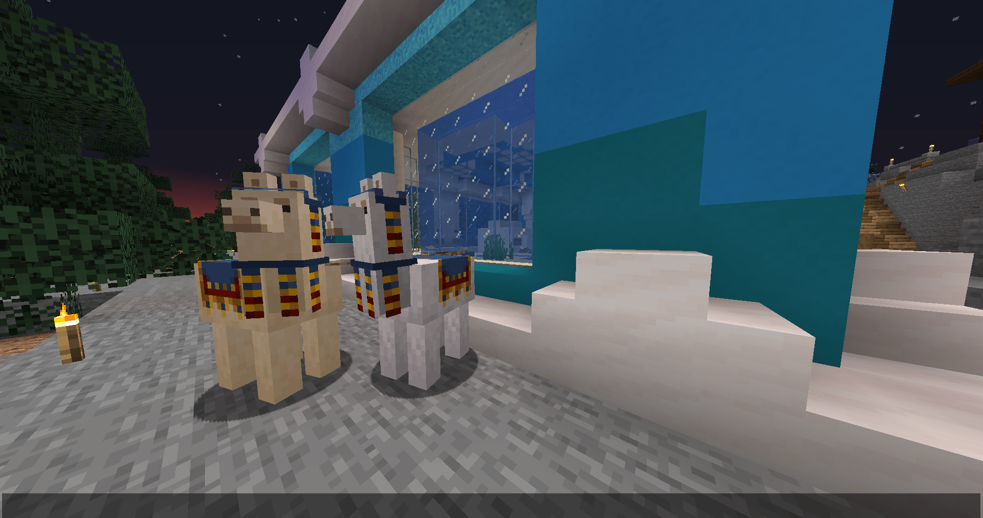 Wandering trader is useful!??!?!? I made a aquarium but didn't have any