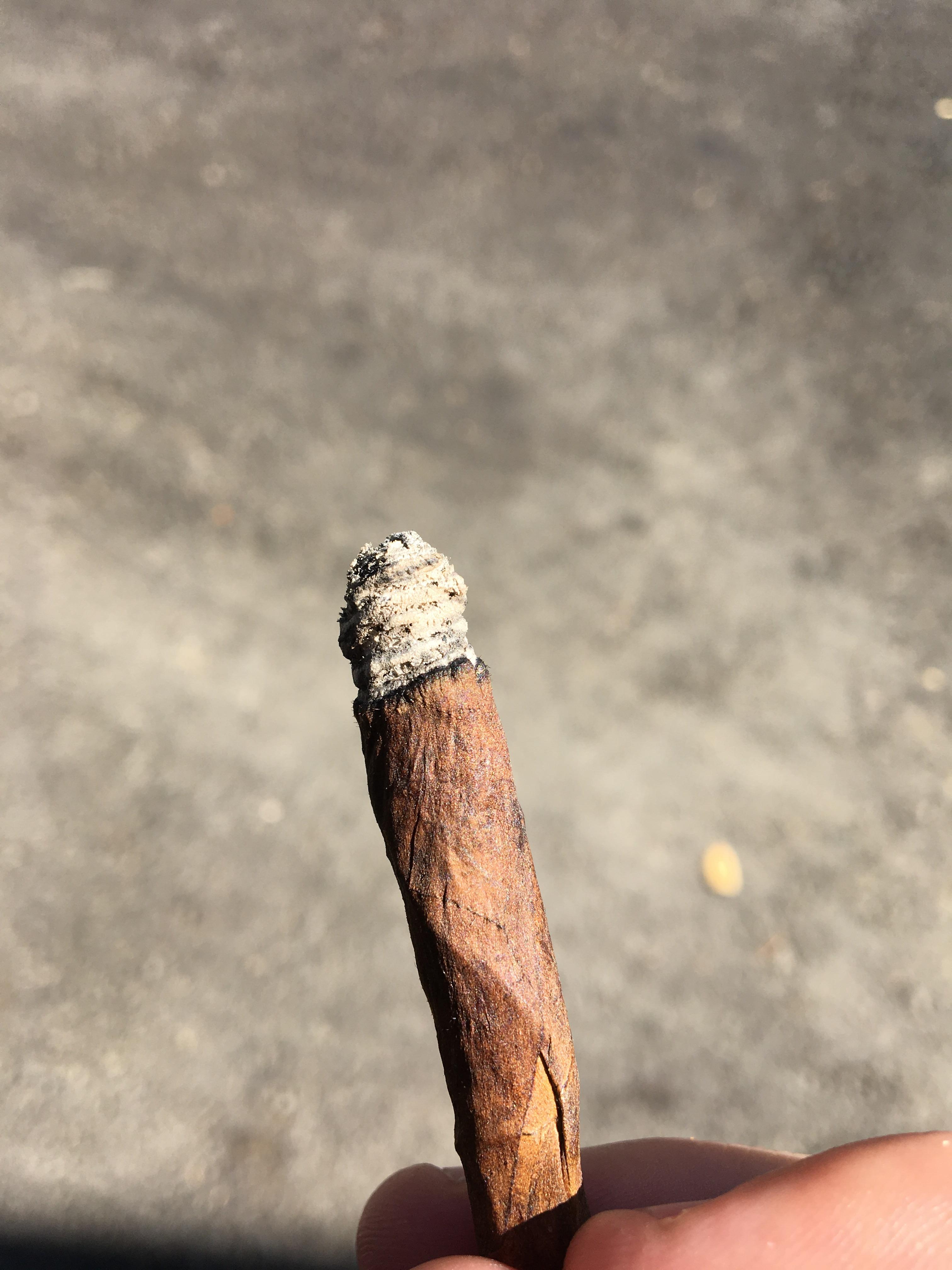 When you so high the blunt looks actually alive. [8} r/trees