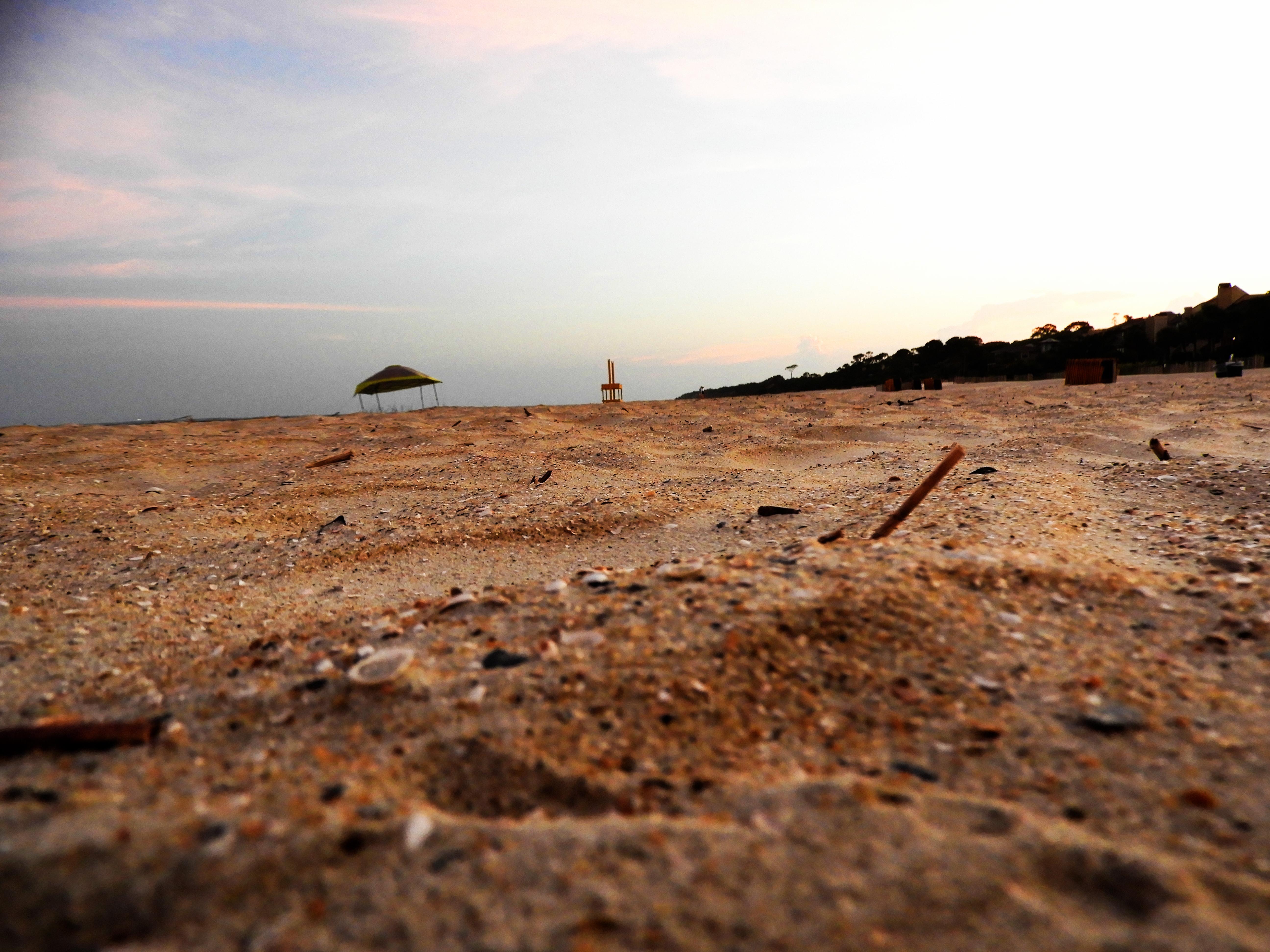 Sand and Shells; Hilton Head Island, South Carolina r/pics