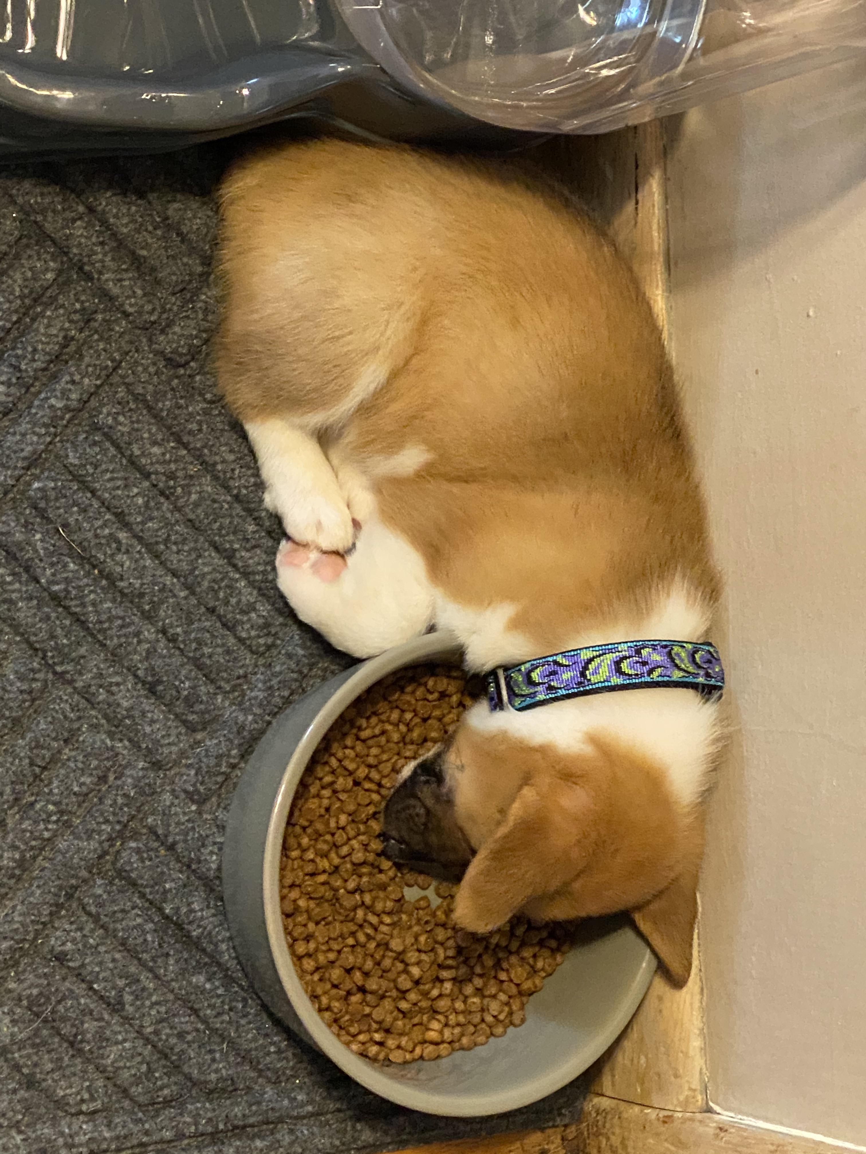 Too tired to eat