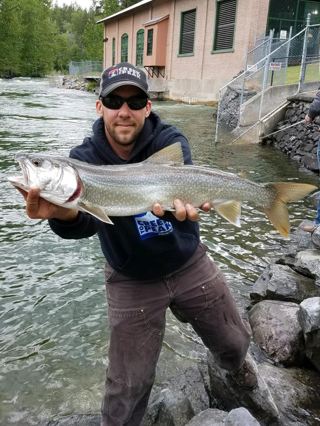 Lake trout Fishing in Montana is Heating up! r/Fishing