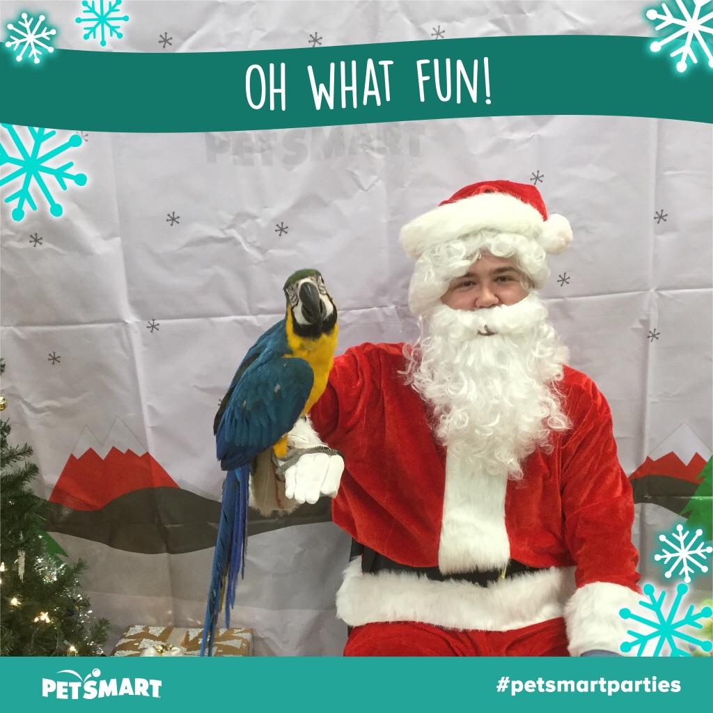 Petsmart Hours Christmas Eve Pet's Gallery