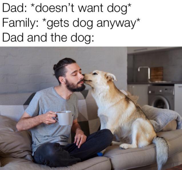No Dog Meme