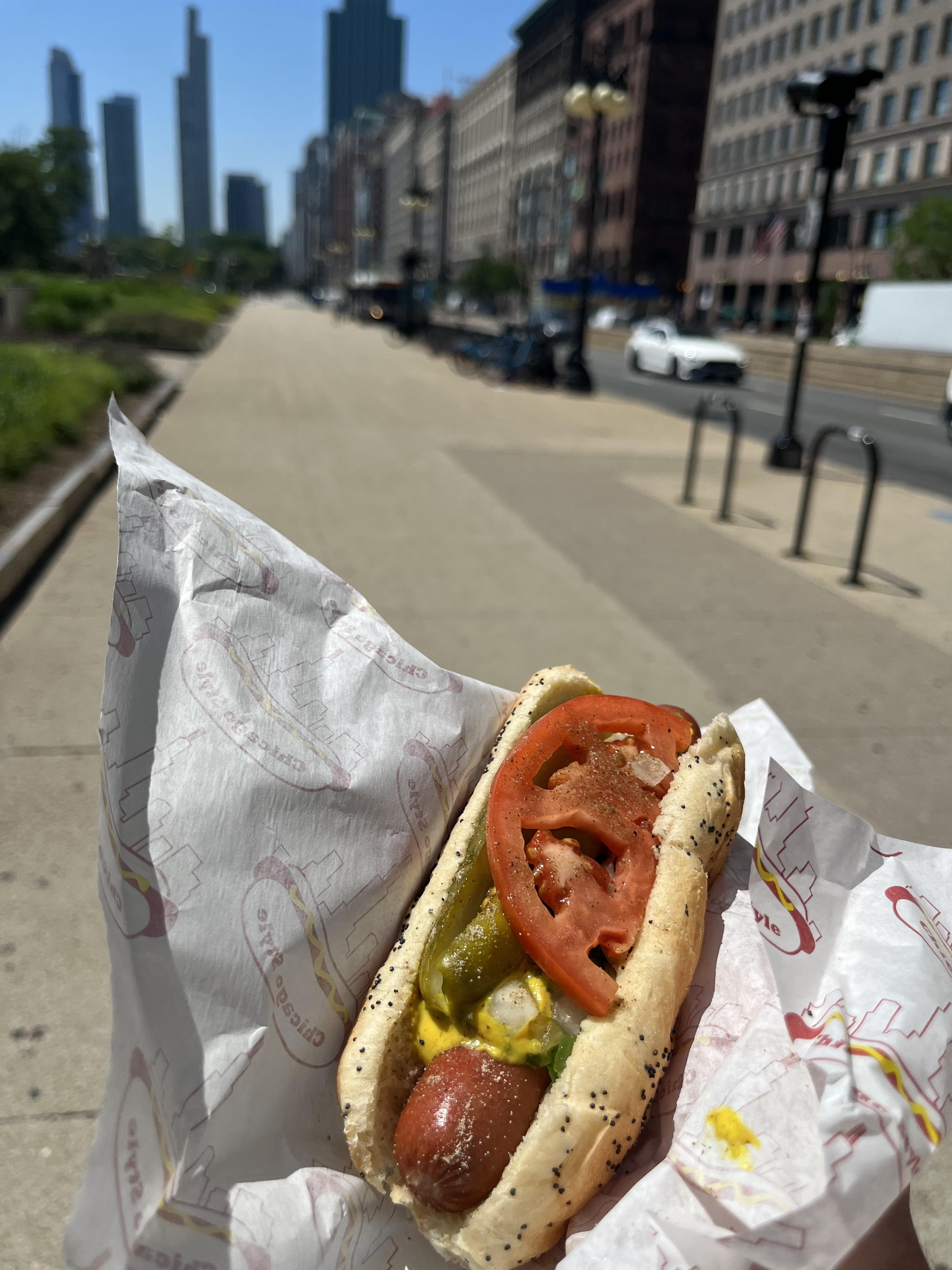 Relish Chicago Dog r/hot_dog
