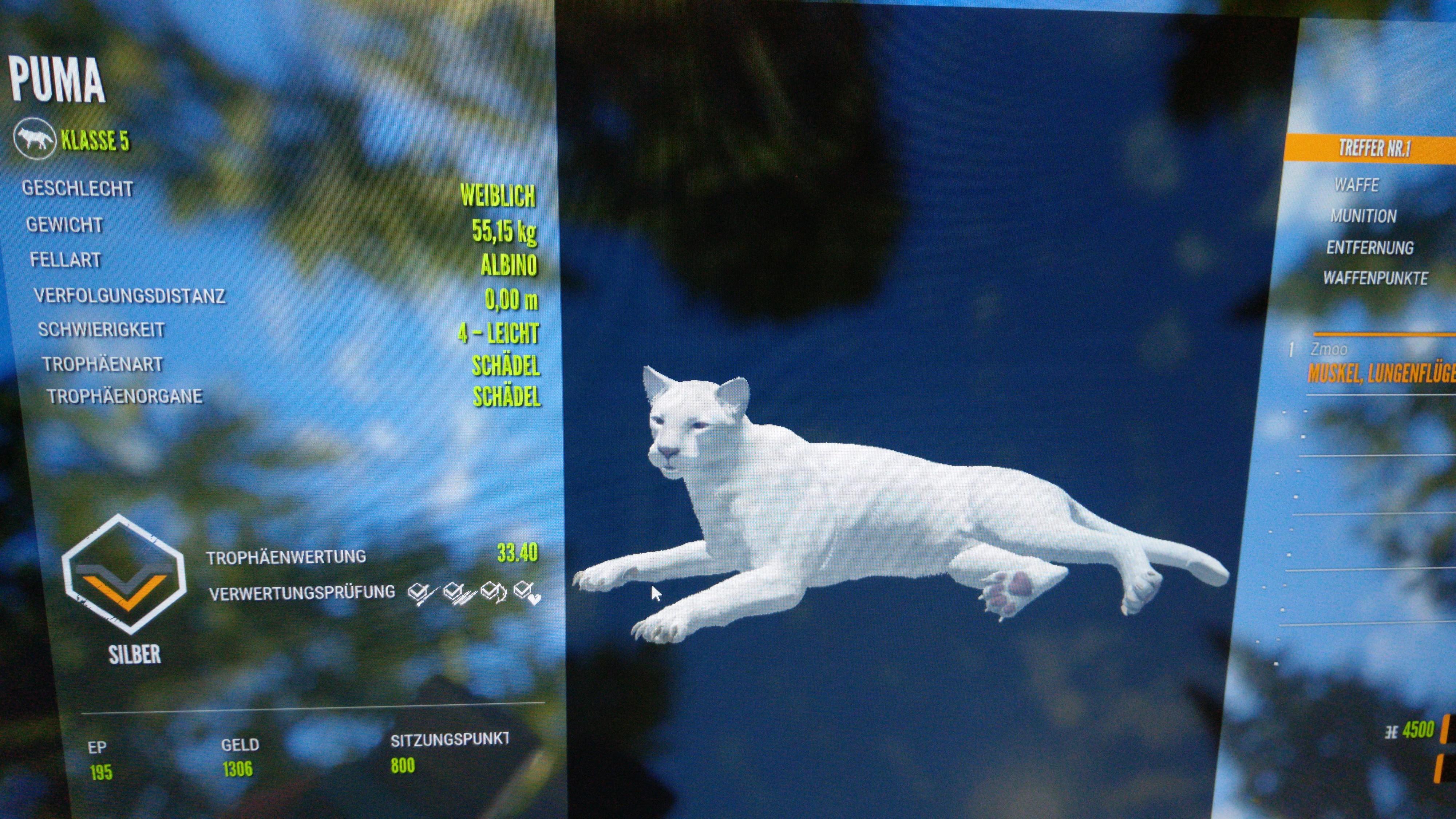 A beauty new map, first puma ) r/theHunter