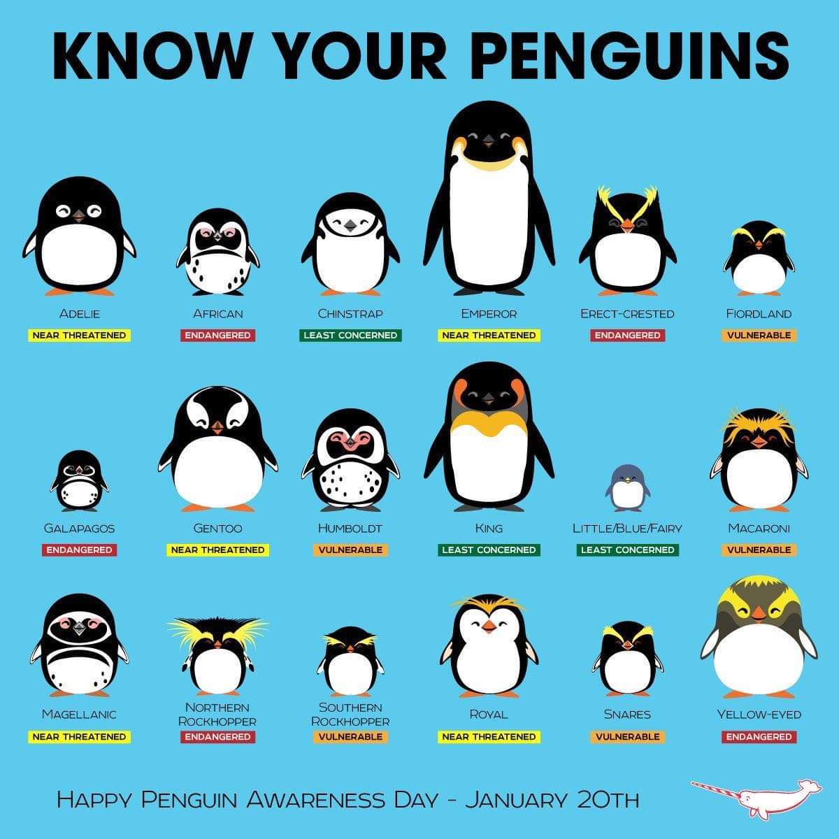 How to identify different penguins r/coolguides
