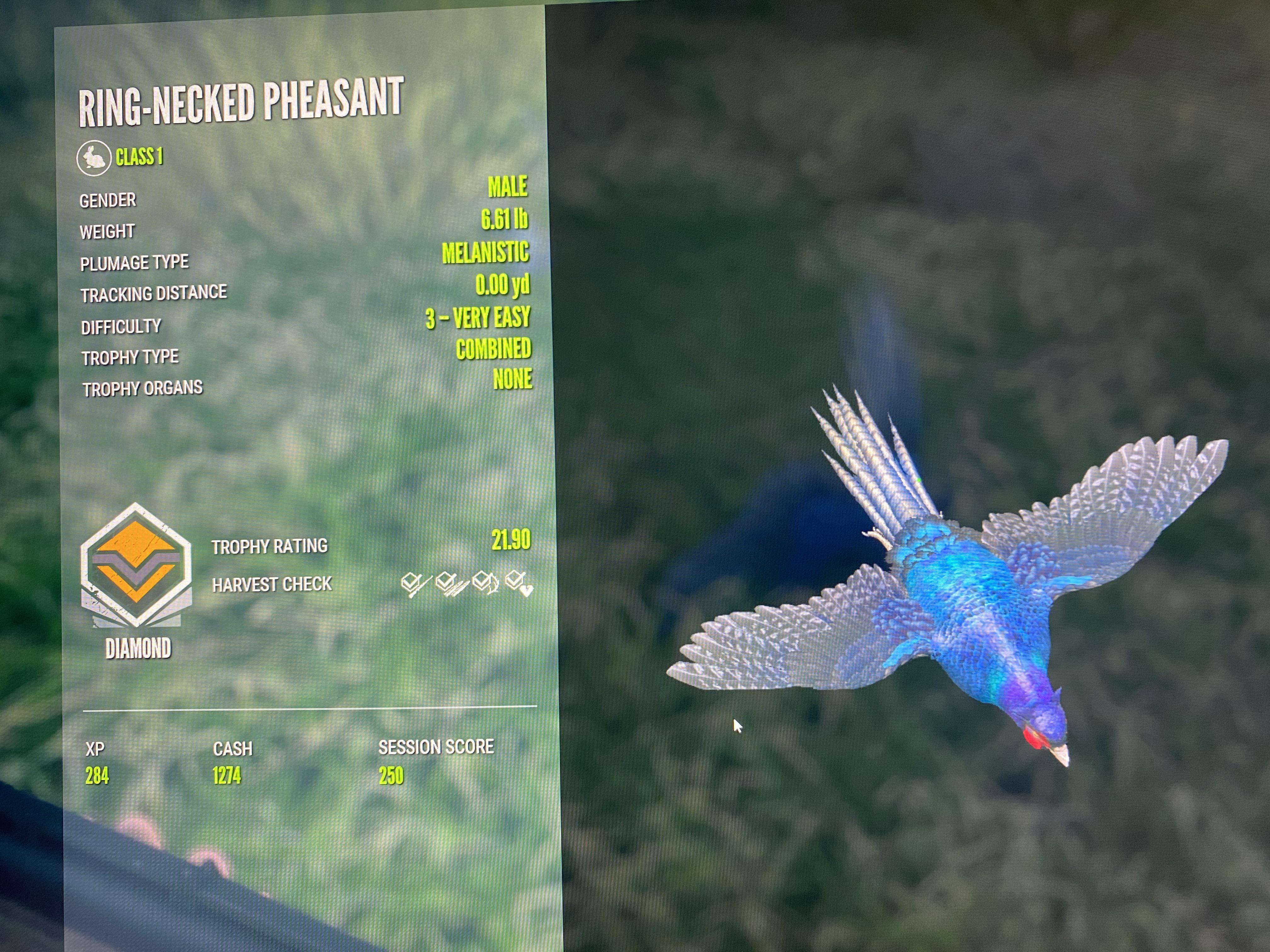 "I can't find any animals" Starter Pack for CotW casuals theHunter