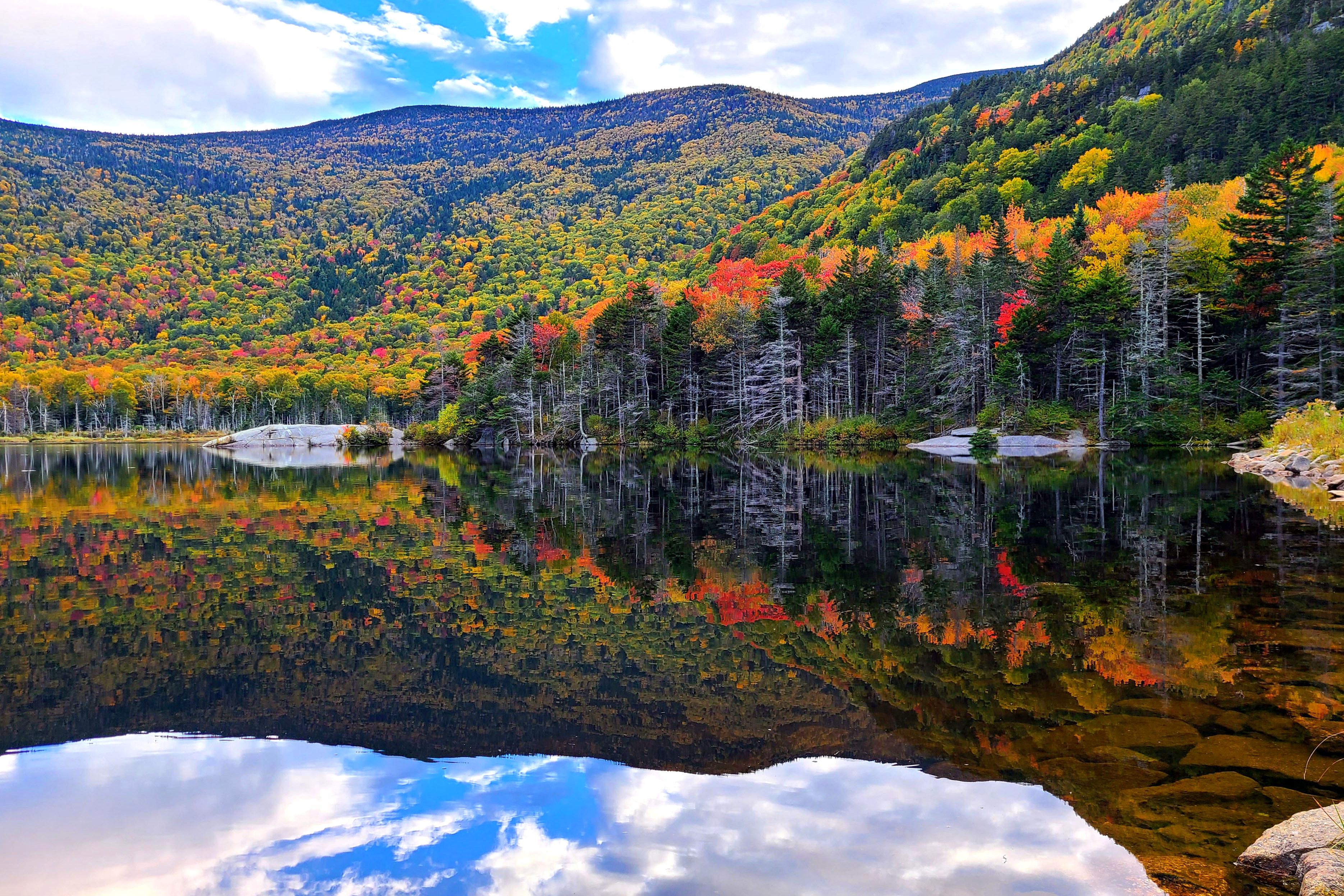 Reflections of foliage in the White Mountains NH [3739x2494] [OC] r