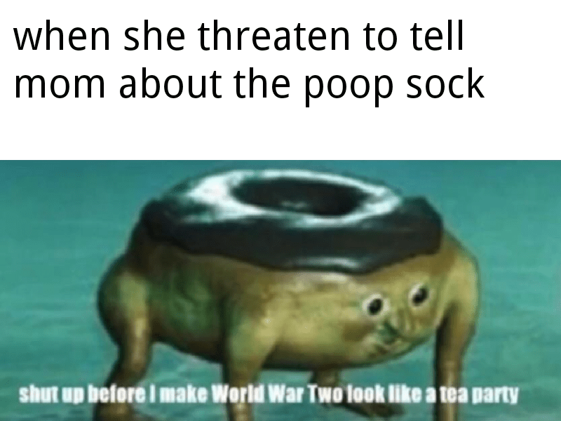 When sister find poop sock r/memes